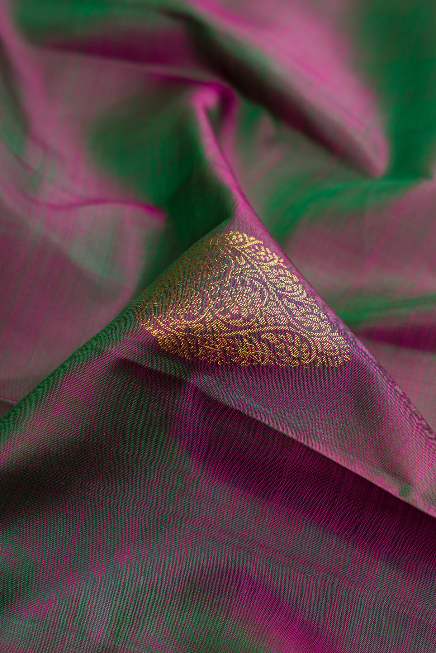 Close up of Bottle Green Dual Tone Kanjivaram Silk Saree with Zari Butta on the body and Zari Border.  displaying folds