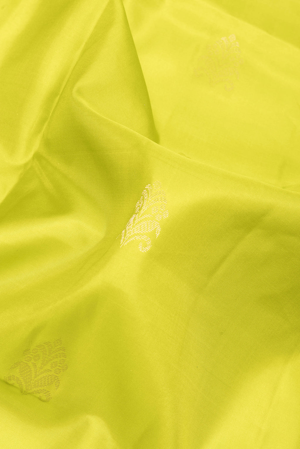 Close up of Parrot Green Soft Silk Saree with Zari Butta on the body and Fancy Border.  displaying folds