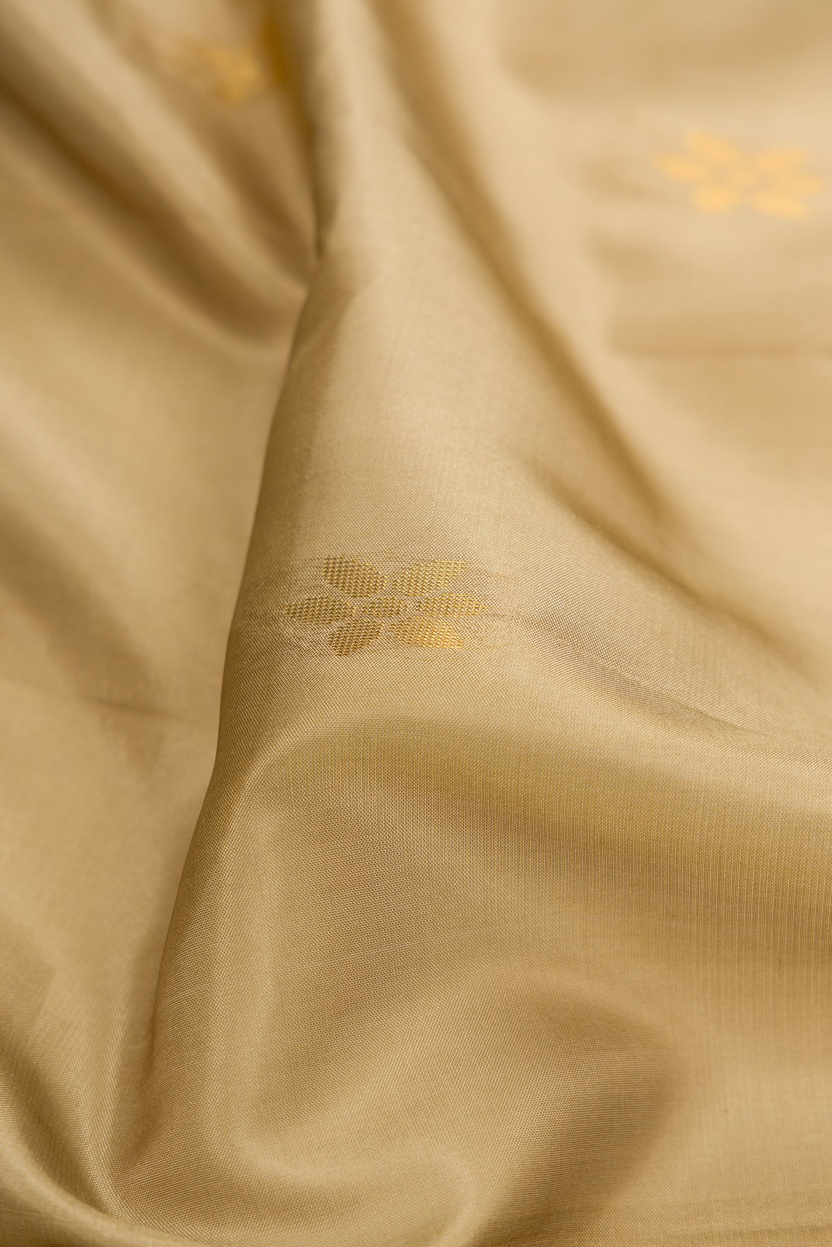 Close up of Dark Beige Soft Silk Saree with Zari Butta on the body and Zari Border.  displaying folds