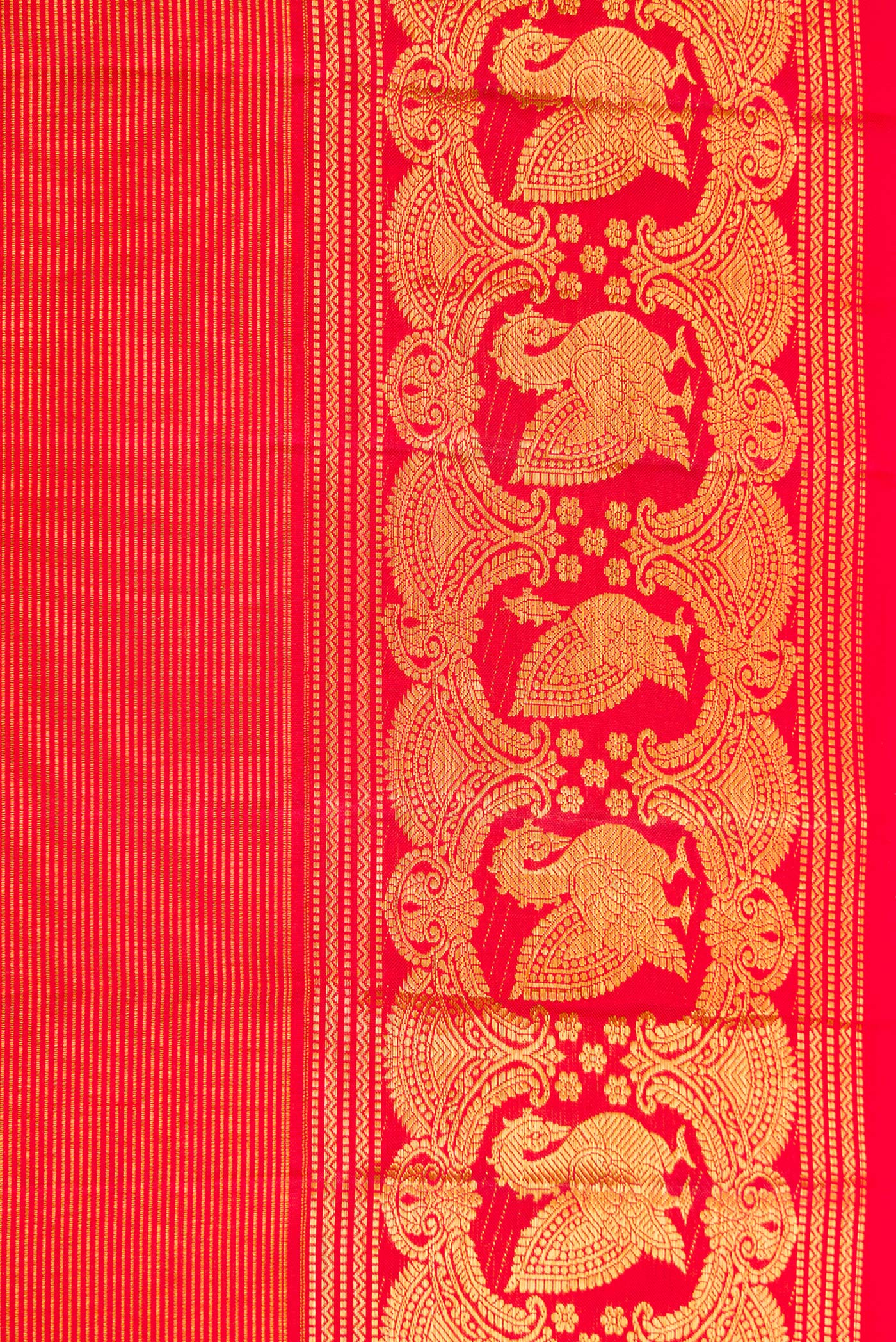 Border image of Red Dual Tone Kanchipuram Silk Saree with Zari Brocade on the body and Zari Border. 