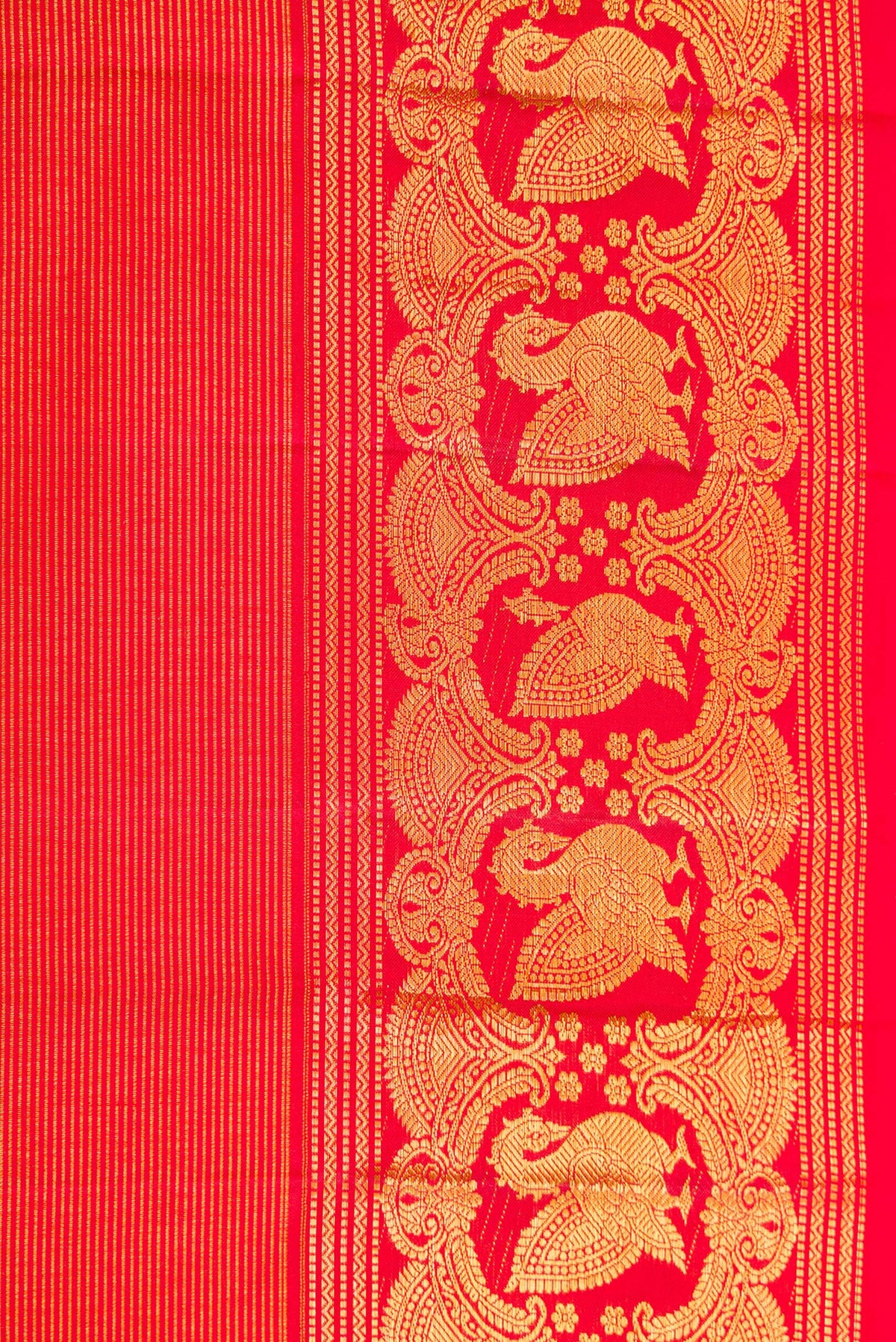 Border image of Red Dual Tone Kanchipuram Silk Saree with Zari Brocade on the body and Zari Border. 
