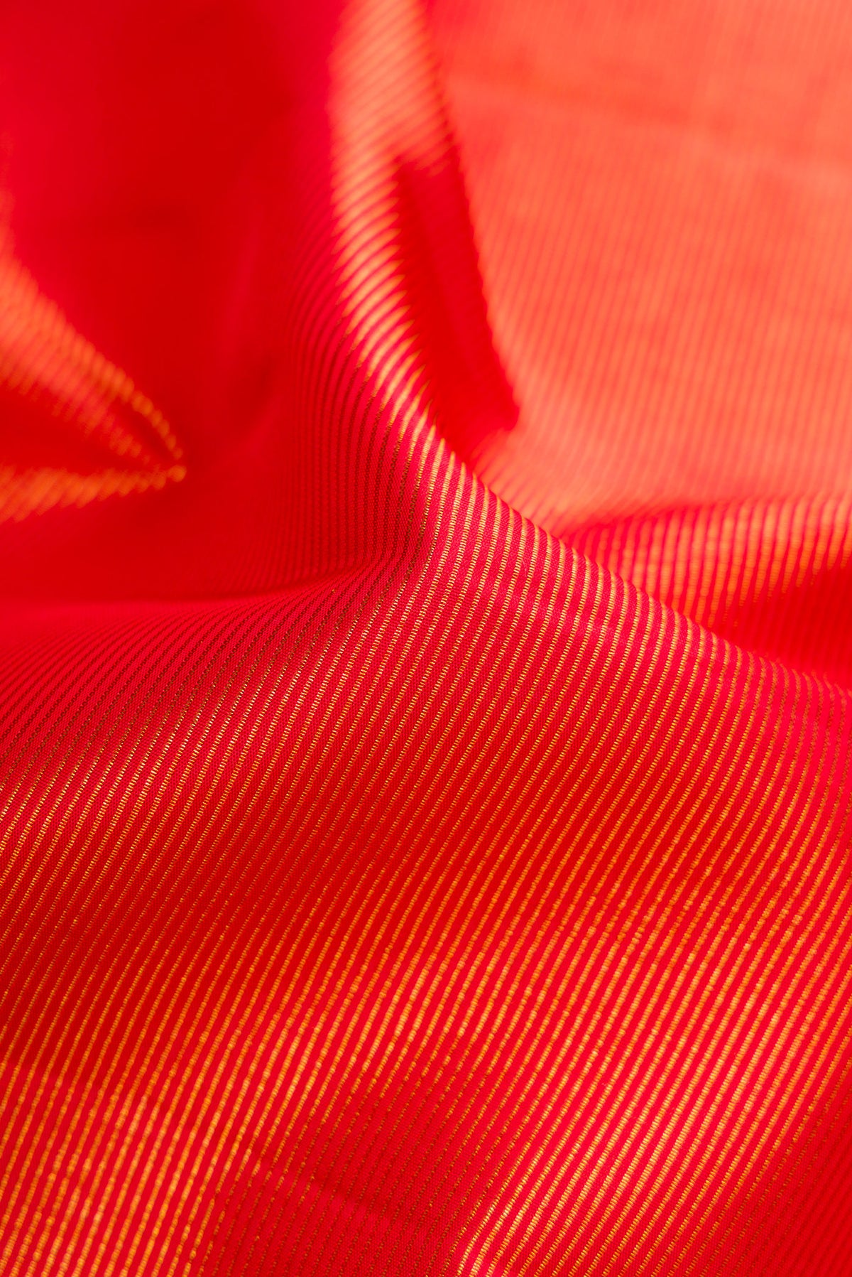 Close up of Red Dual Tone Kanchipuram Silk Saree with Zari Brocade on the body and Zari Border.  displaying folds