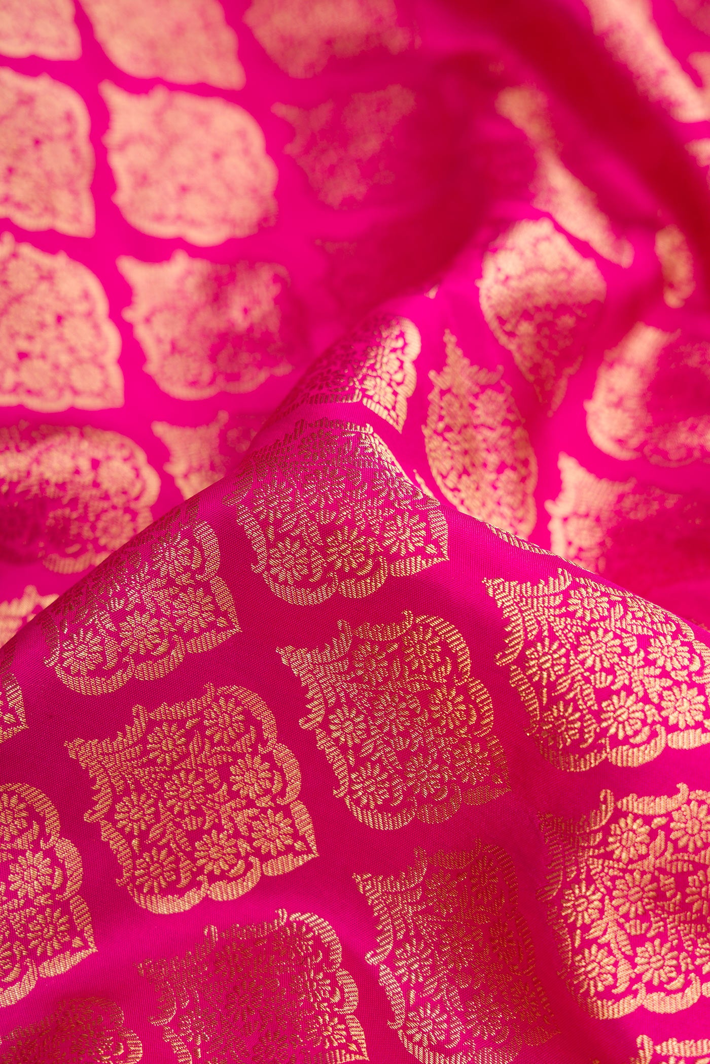 Close up of Pink Dual Tone Kanchipuram Silk Saree with Zari Brocade on the body and Zari Border.  displaying folds