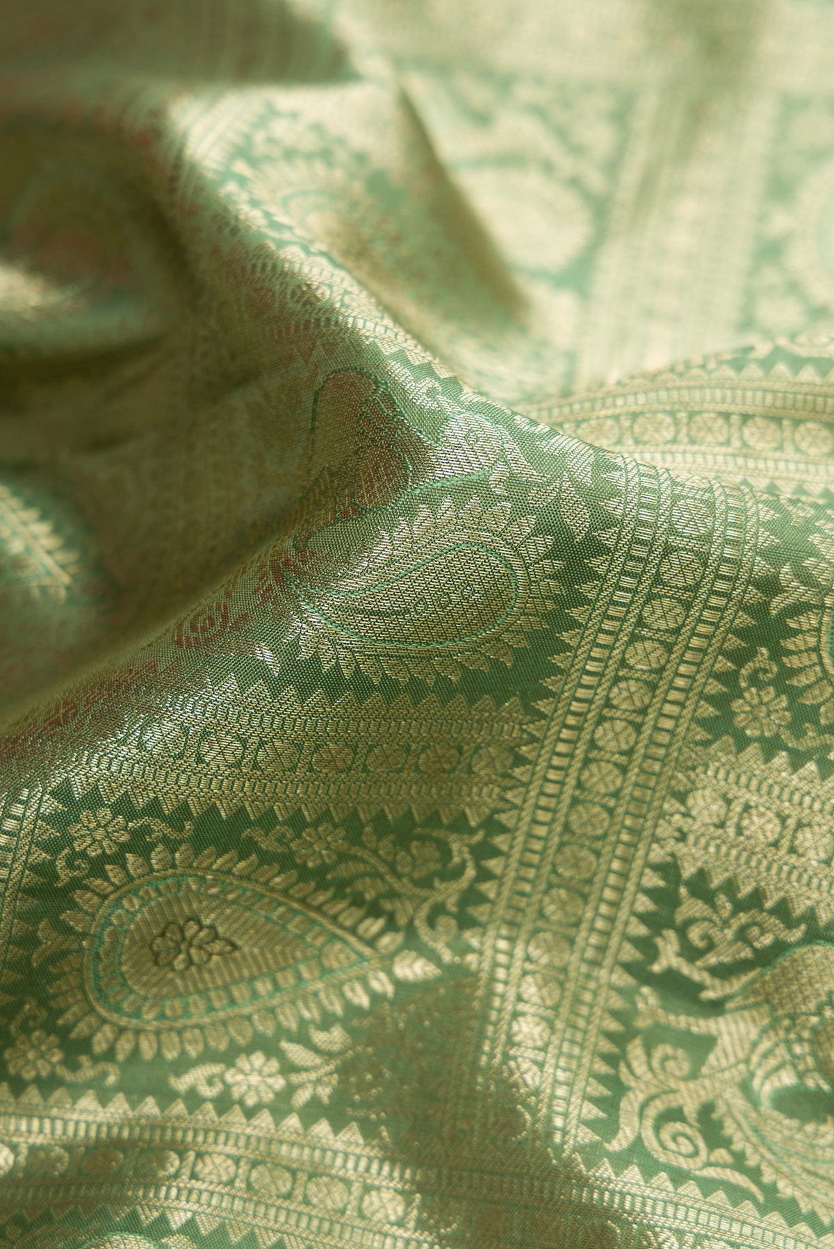 Close up of Pista Green Dual Tone Kanchipuram Silk Saree with Zari Brocade on the body and Zari Border.  displaying folds