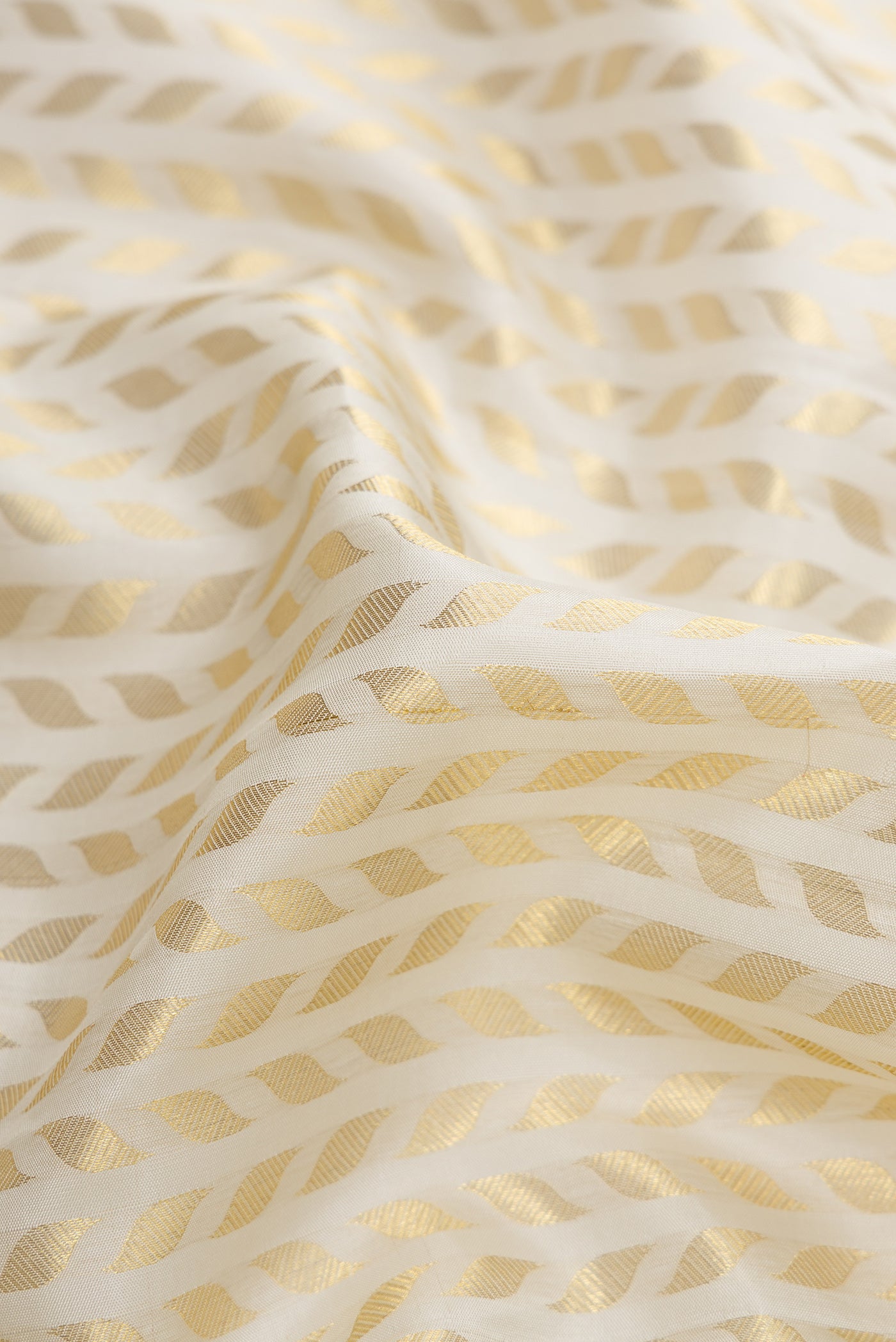 Close up of Off White Dual Tone Kanchipuram Silk Saree with Zari Brocade on the body and Zari Border.  displaying folds