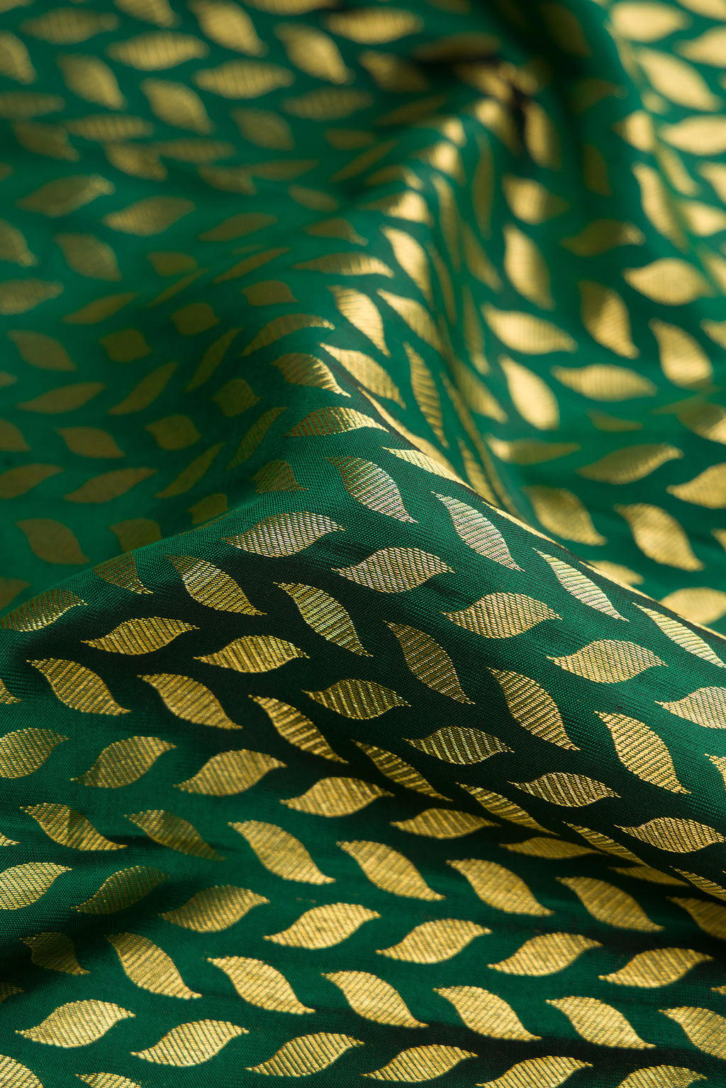 Close up of Bottle Green Dual Tone Kanchipuram Silk Saree with Zari Brocade on the body and Zari Border.  displaying folds