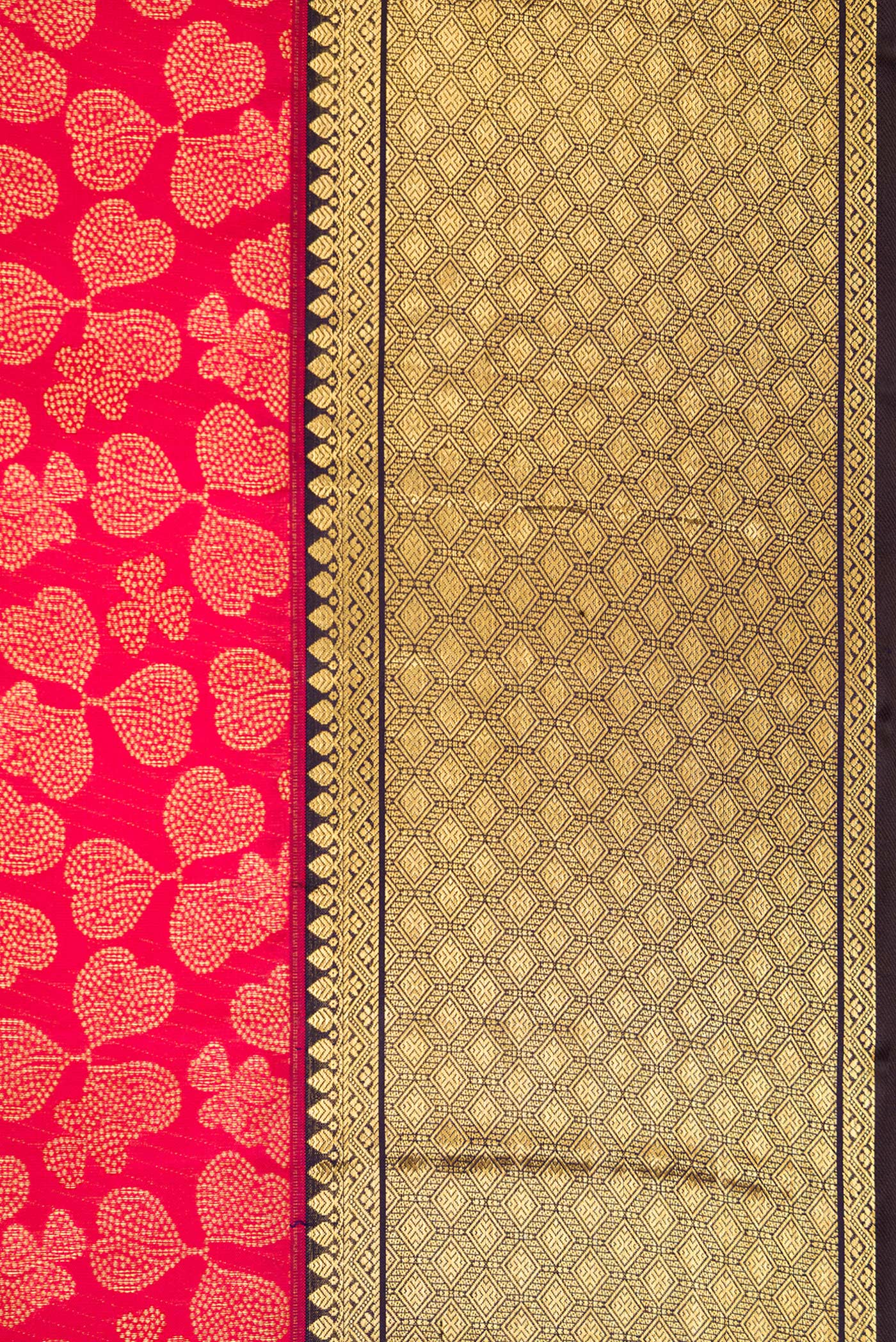 Border image of Dark Pink Dual Tone Kanchipuram Silk Saree with Zari Brocade on the body and Zari Border. 