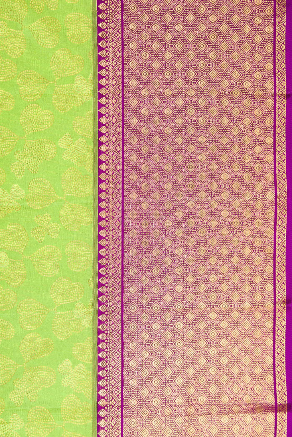Border image of Parrot Green Dual Tone Kanchipuram Silk Saree with Zari Brocade on the body and Zari Border. 