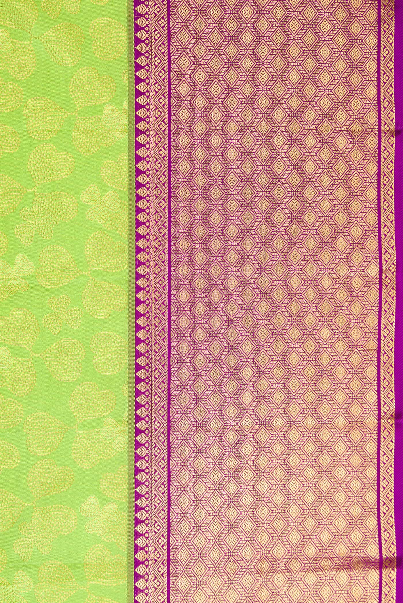 Border image of Parrot Green Dual Tone Kanchipuram Silk Saree with Zari Brocade on the body and Zari Border. 