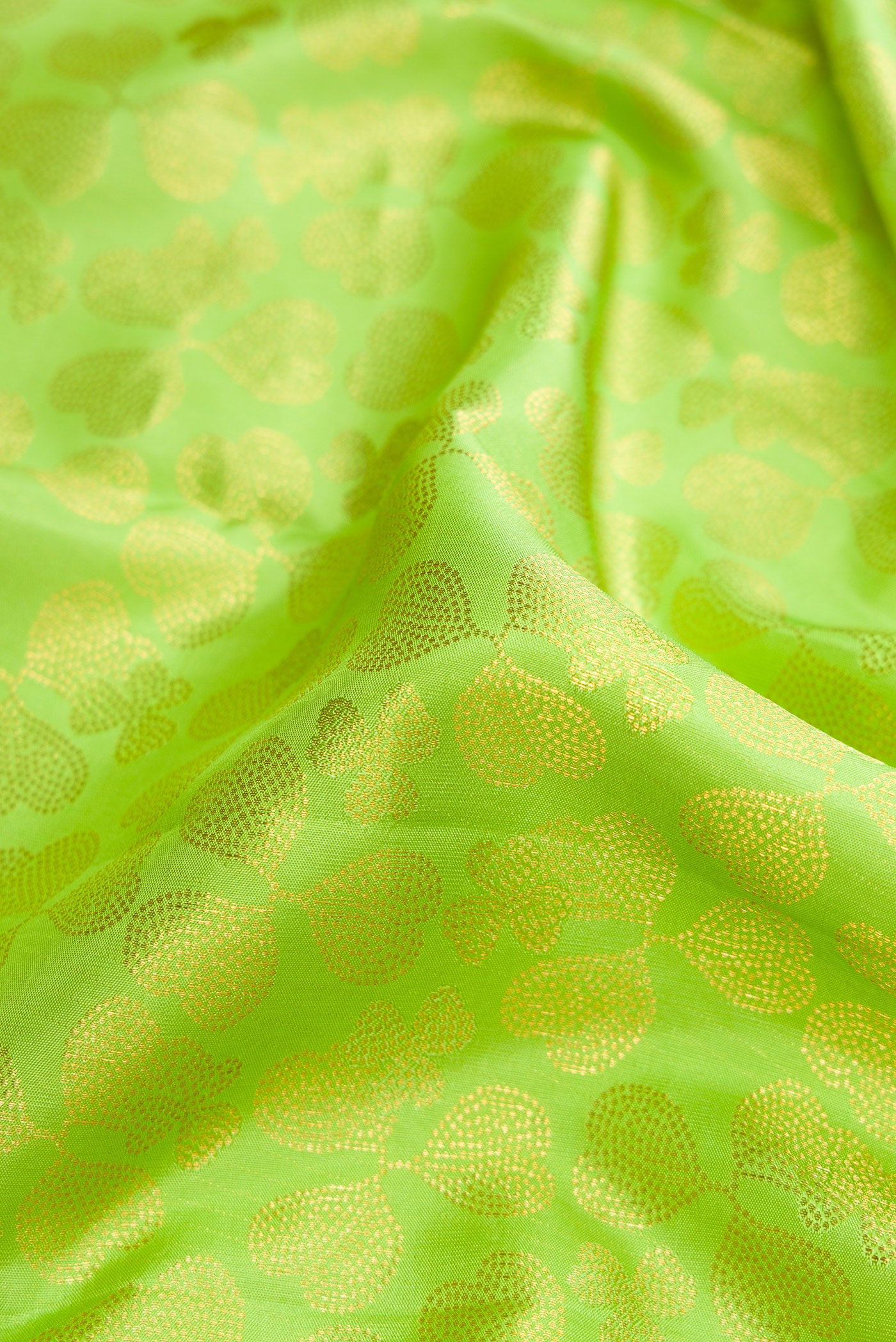 Close up of Parrot Green Dual Tone Kanchipuram Silk Saree with Zari Brocade on the body and Zari Border.  displaying folds
