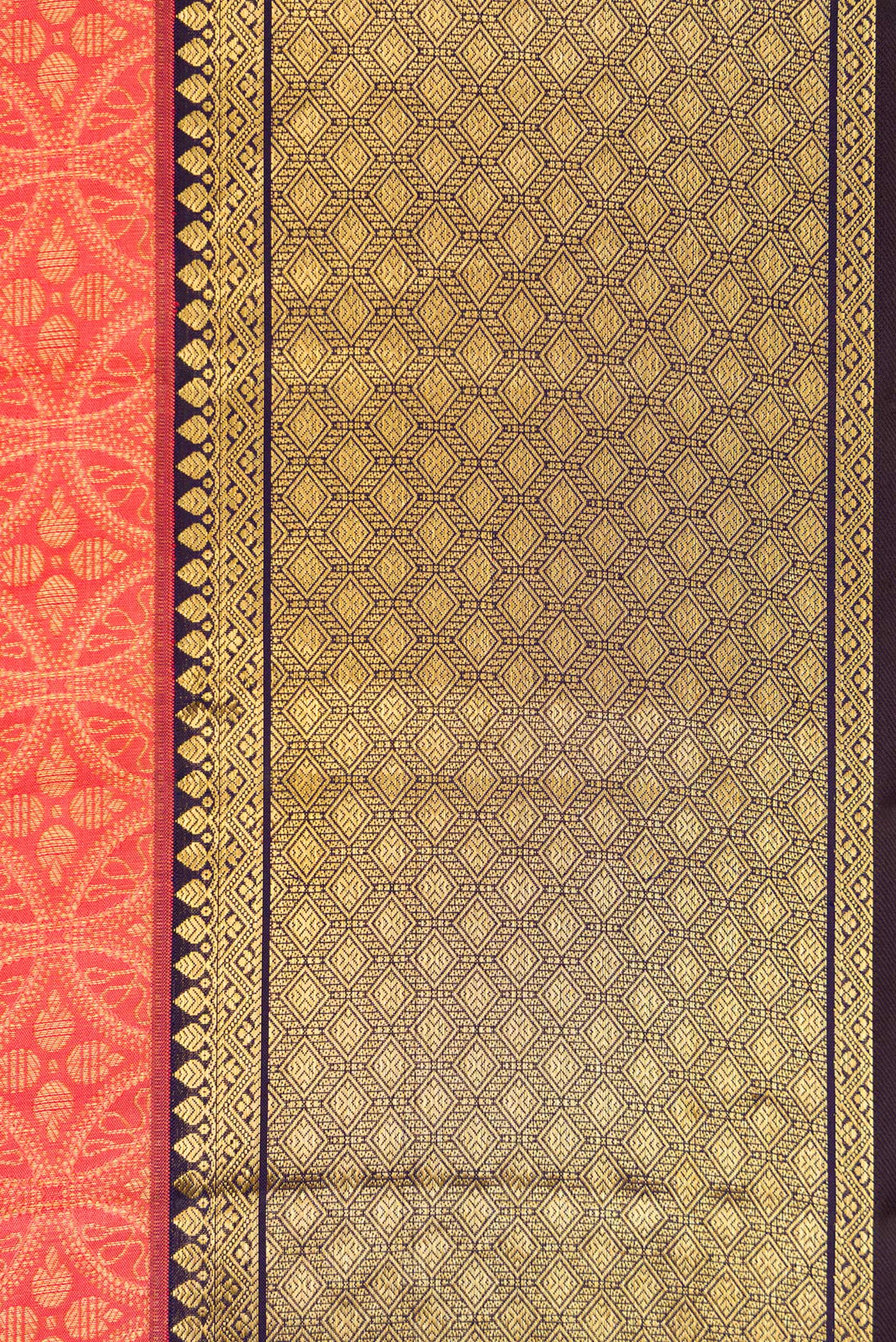 Border image of Coral Dual Tone Kanchipuram Silk Saree with Zari Brocade on the body and Zari Border. 