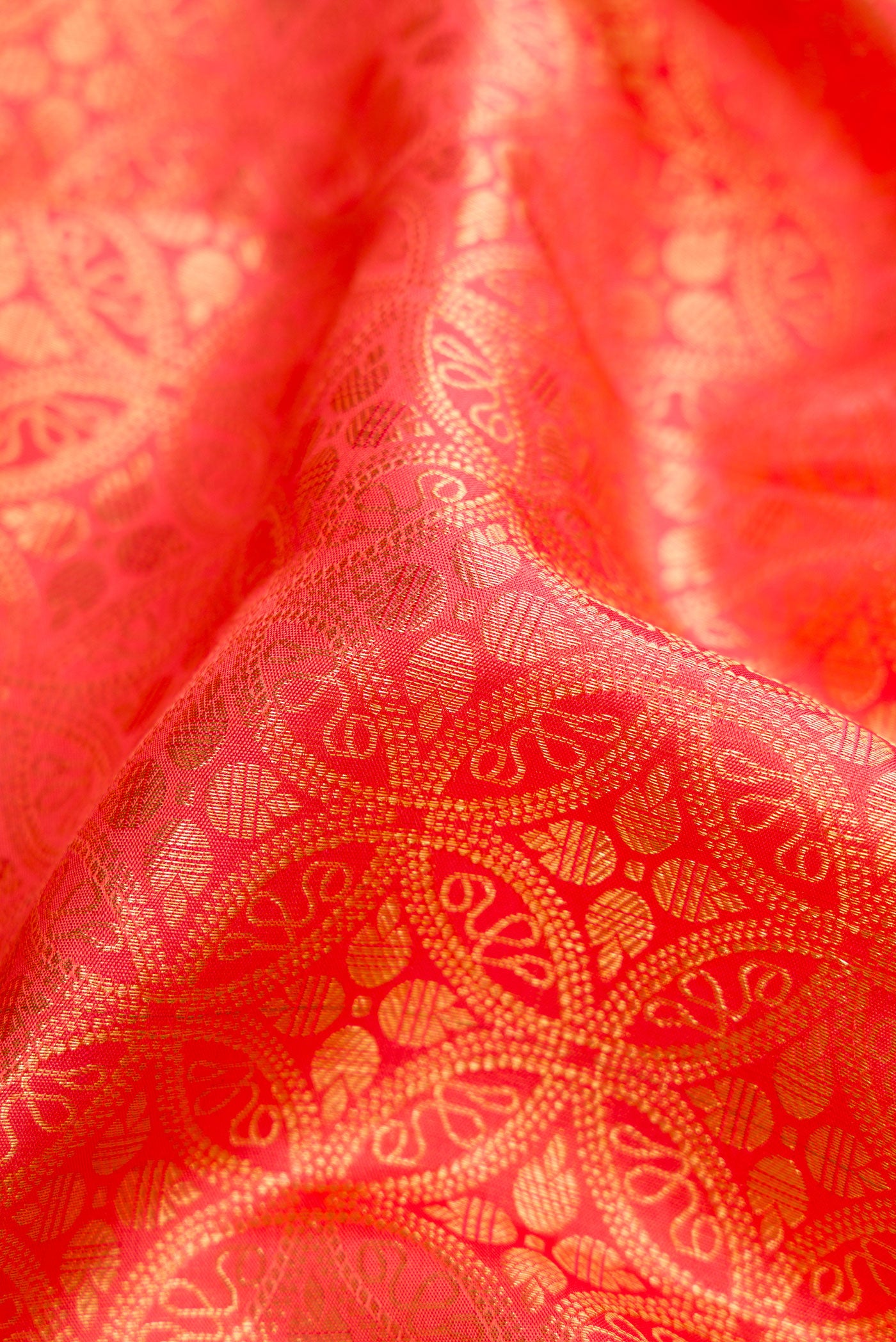 Close up of Coral Dual Tone Kanchipuram Silk Saree with Zari Brocade on the body and Zari Border.  displaying folds