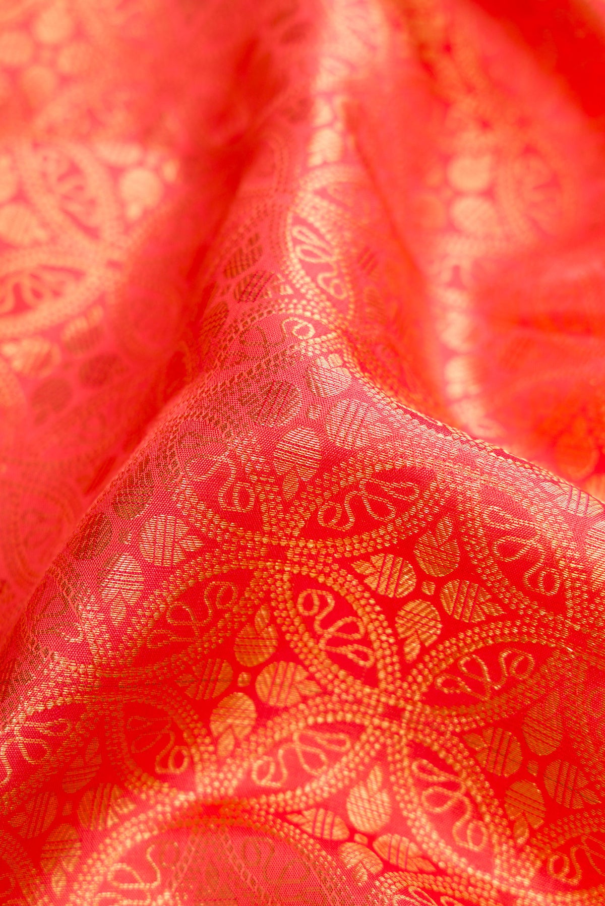 Close up of Coral Dual Tone Kanchipuram Silk Saree with Zari Brocade on the body and Zari Border.  displaying folds