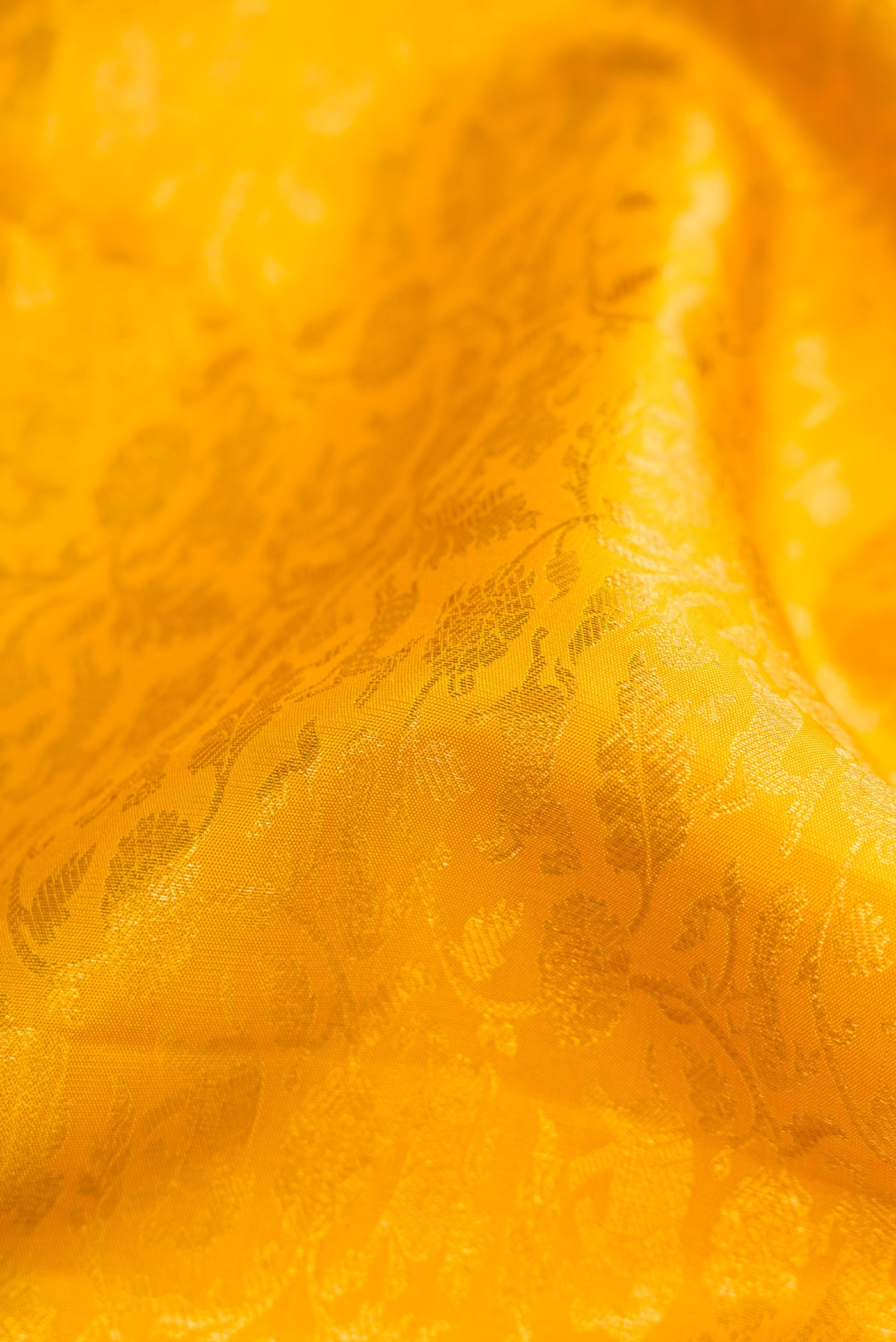 Close up of Yellow Kanchipuram Silk Saree with Zari Brocade on the body and Zari Border.  displaying folds