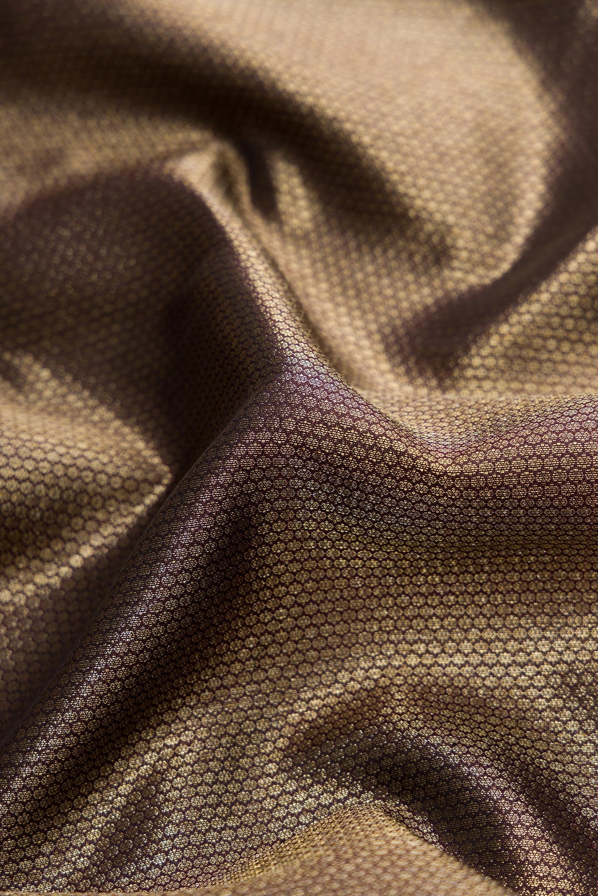 Close up of Coffee Brown Dual Tone Kanchipuram Silk Saree with Zari Brocade on the body and Zari Border.  displaying folds