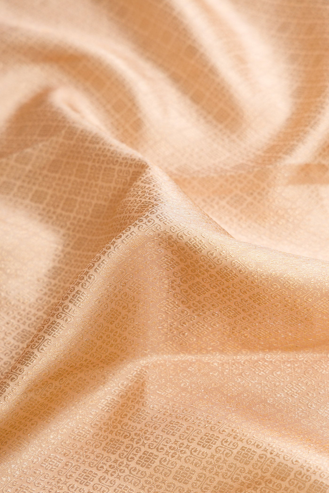 Close up of Beige Dual Tone Kanchipuram Silk Saree with Zari Brocade on the body and Zari Border.  displaying folds