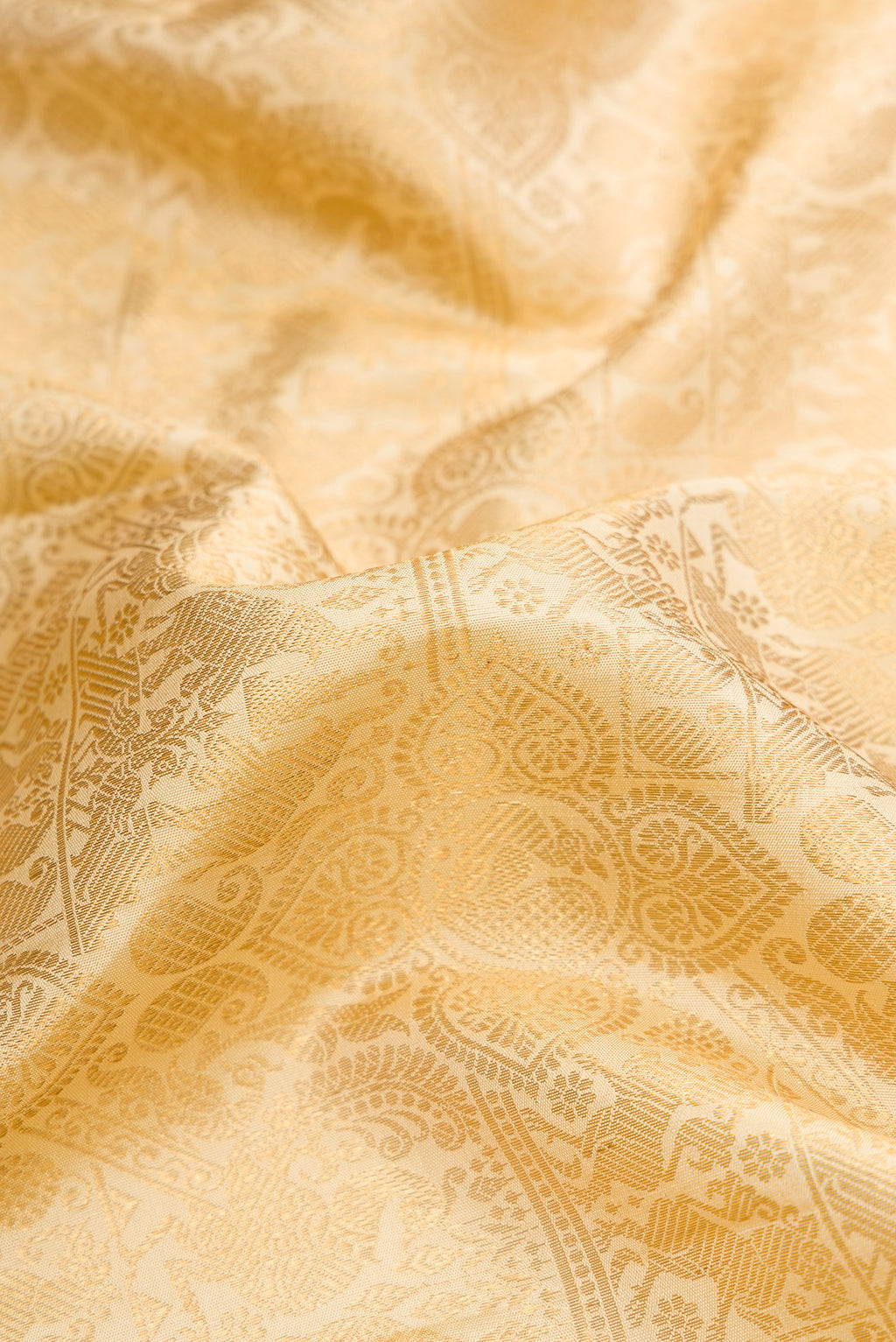 Close up of Gold Dual Tone Kanchipuram Silk Saree with Zari Brocade on the body and Zari Border.  displaying folds