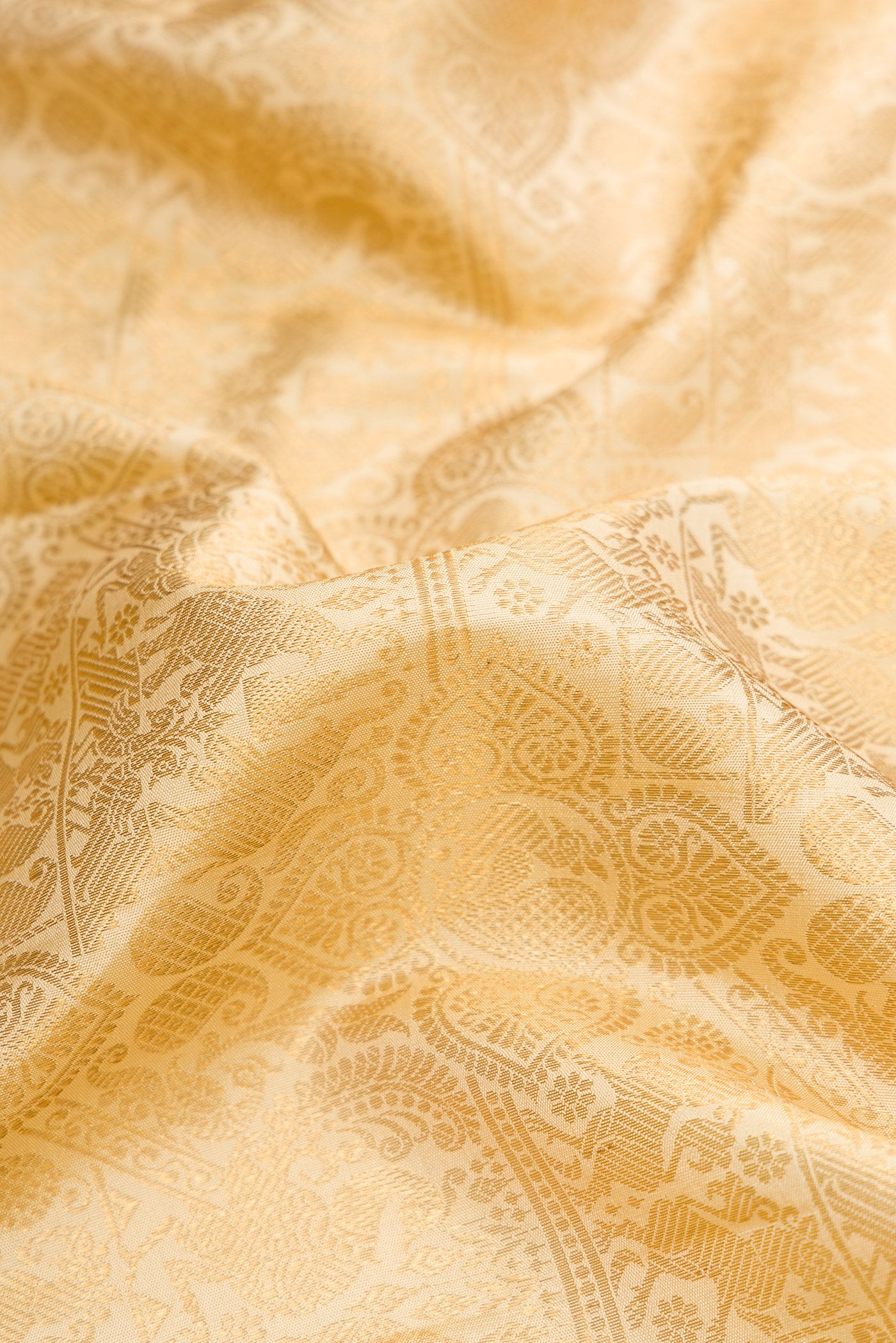 Close up of Gold Dual Tone Kanchipuram Silk Saree with Zari Brocade on the body and Zari Border.  displaying folds