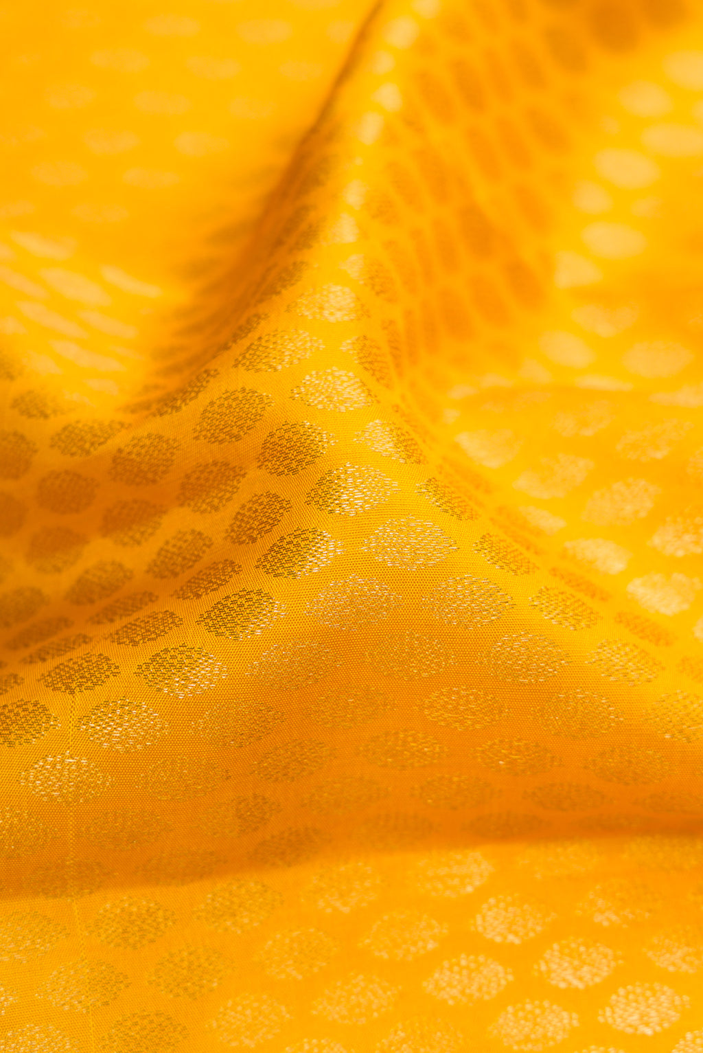 Close up of Yellow Kanchipuram Silk Saree with Zari Brocade on the body and Zari Border.  displaying folds
