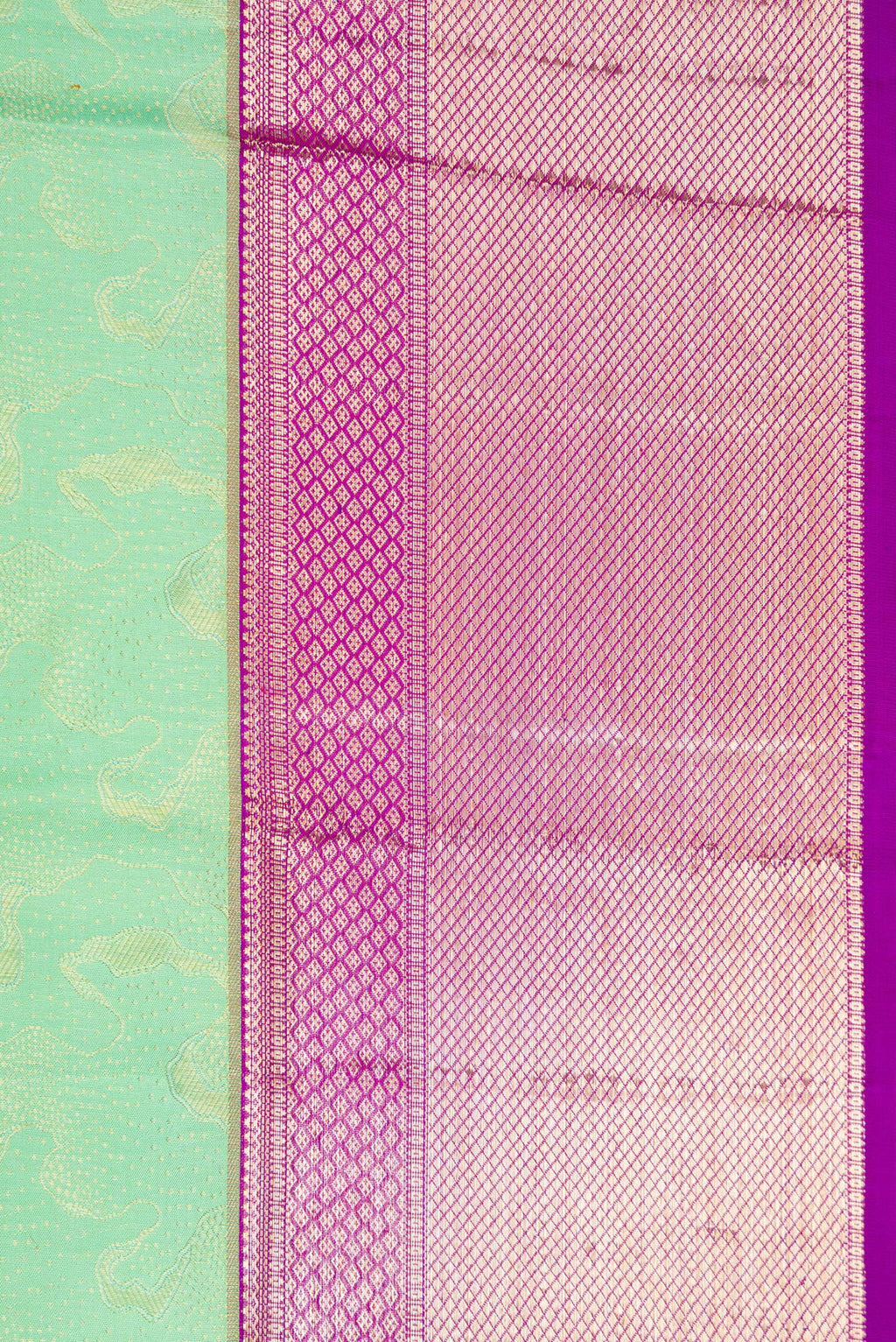 Border image of Sea Green Dual Tone Kanchipuram Silk Saree with Zari Brocade on the body and Zari Border. 