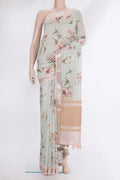 Pure Silk Pista Green Dual Tone Chanderi Saree with Printed design on the body and Zari And Thread Border.  displayed on a mannequin