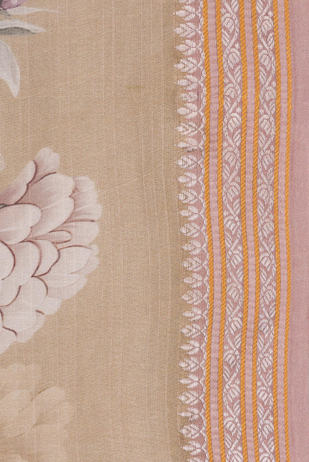 Border image of Pure Silk Beige Dual Tone Chanderi Saree with Printed design on the body and Zari And Thread Border. 