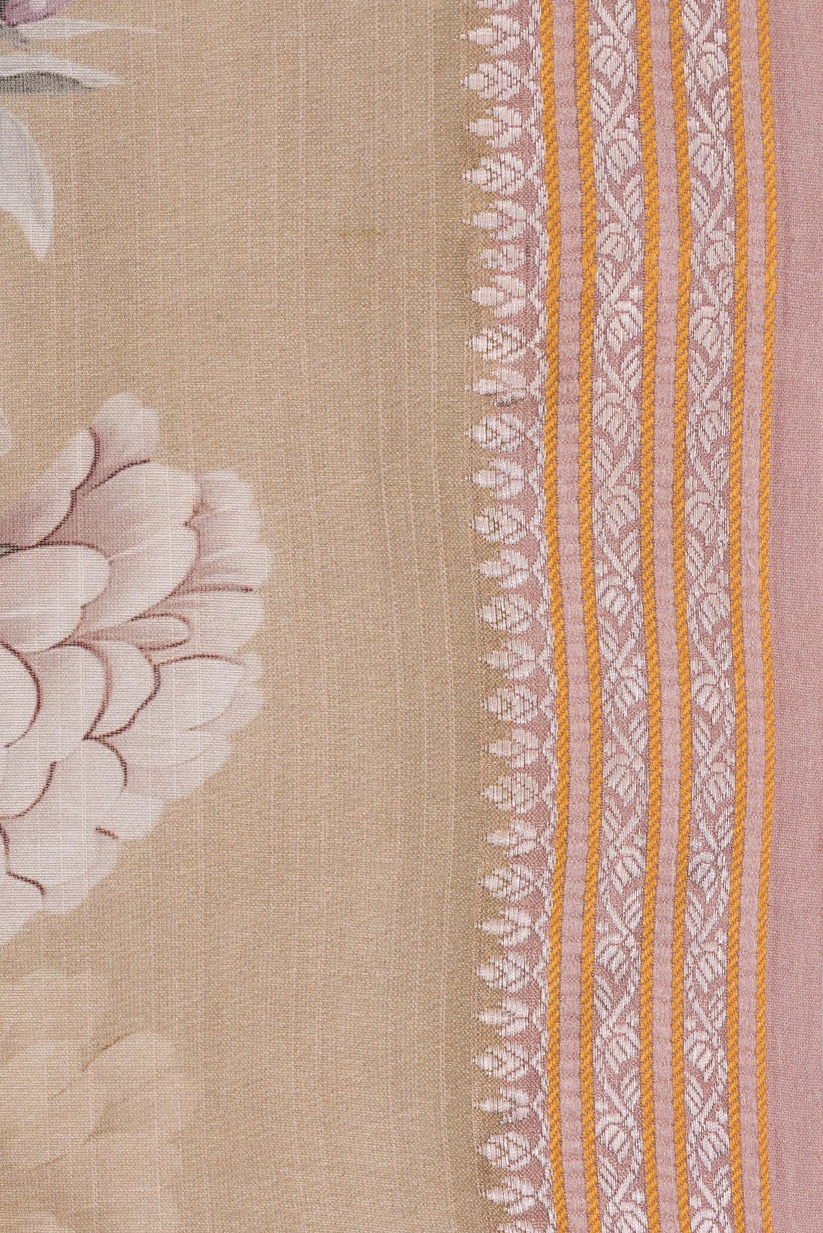 Border image of Pure Silk Beige Dual Tone Chanderi Saree with Printed design on the body and Zari And Thread Border. 
