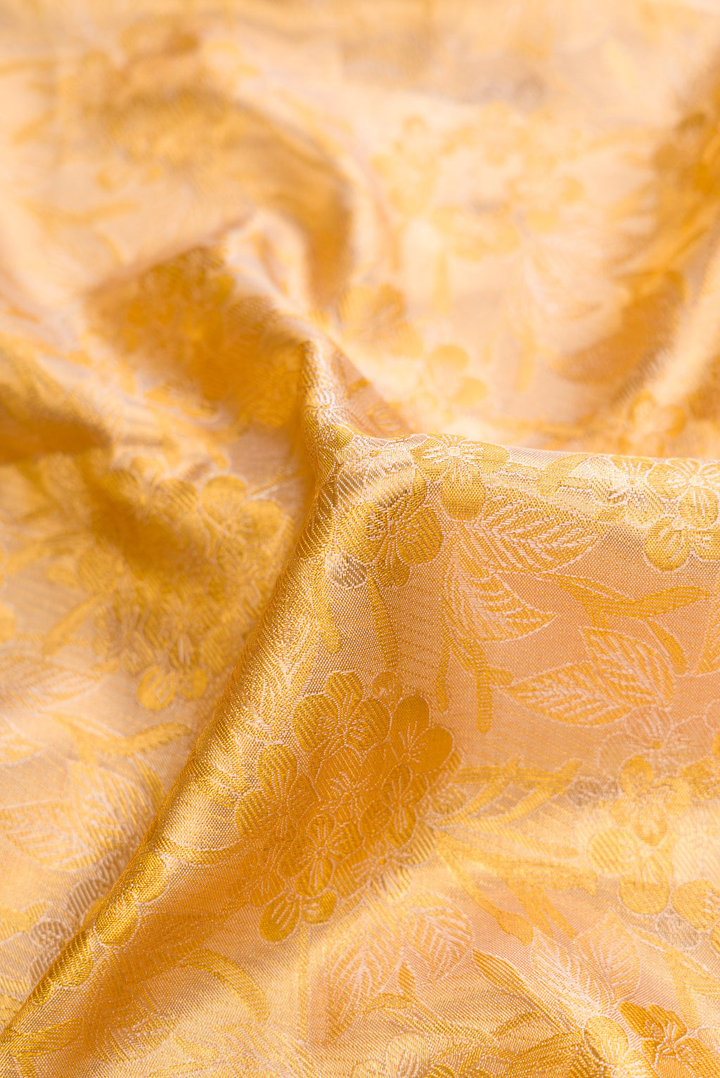 Close up of Gold Dual Tone Kanchipuram Tissue Silk Saree with Zari Brocade on the body and Zari Border.  displaying folds