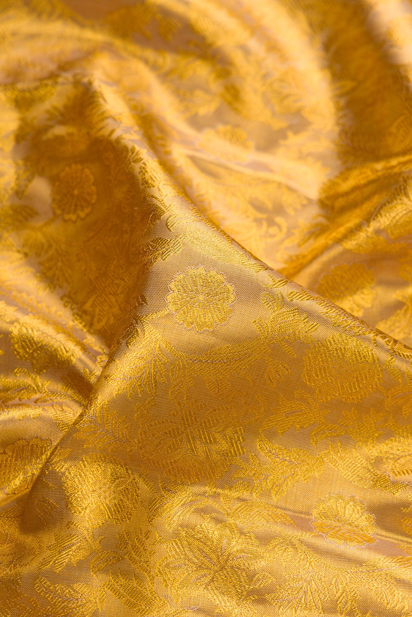 Close up of Gold Dual Tone Kanchipuram Tissue Silk Saree with Zari Brocade on the body and Zari Border.  displaying folds