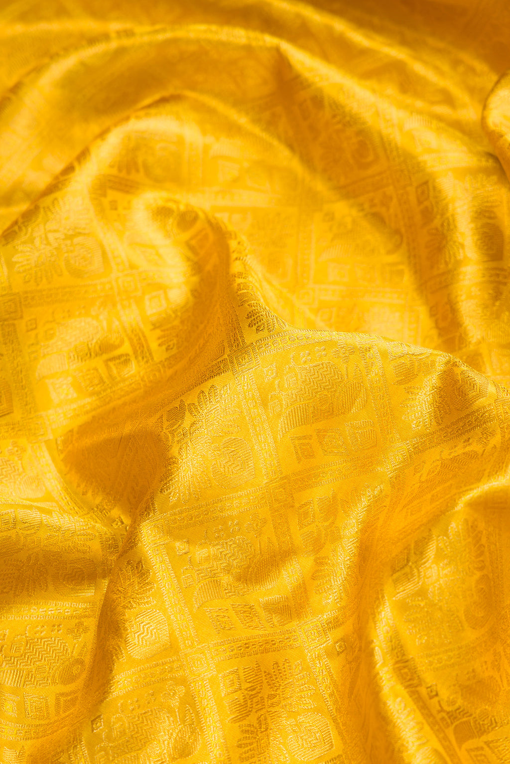 Close up of Gold Dual Tone Kanchipuram Tissue Silk Saree with Zari Brocade on the body and Zari Border.  displaying folds