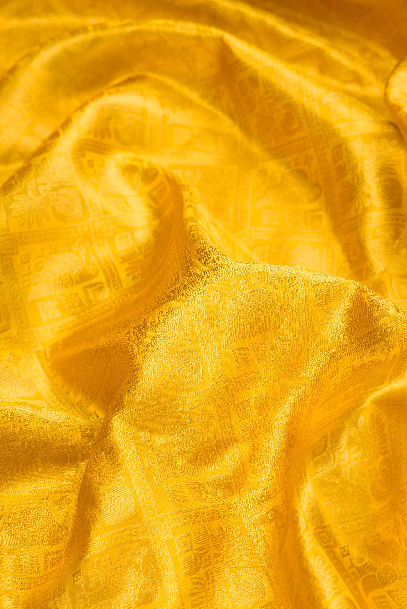 Close up of Gold Dual Tone Kanchipuram Tissue Silk Saree with Zari Brocade on the body and Zari Border.  displaying folds