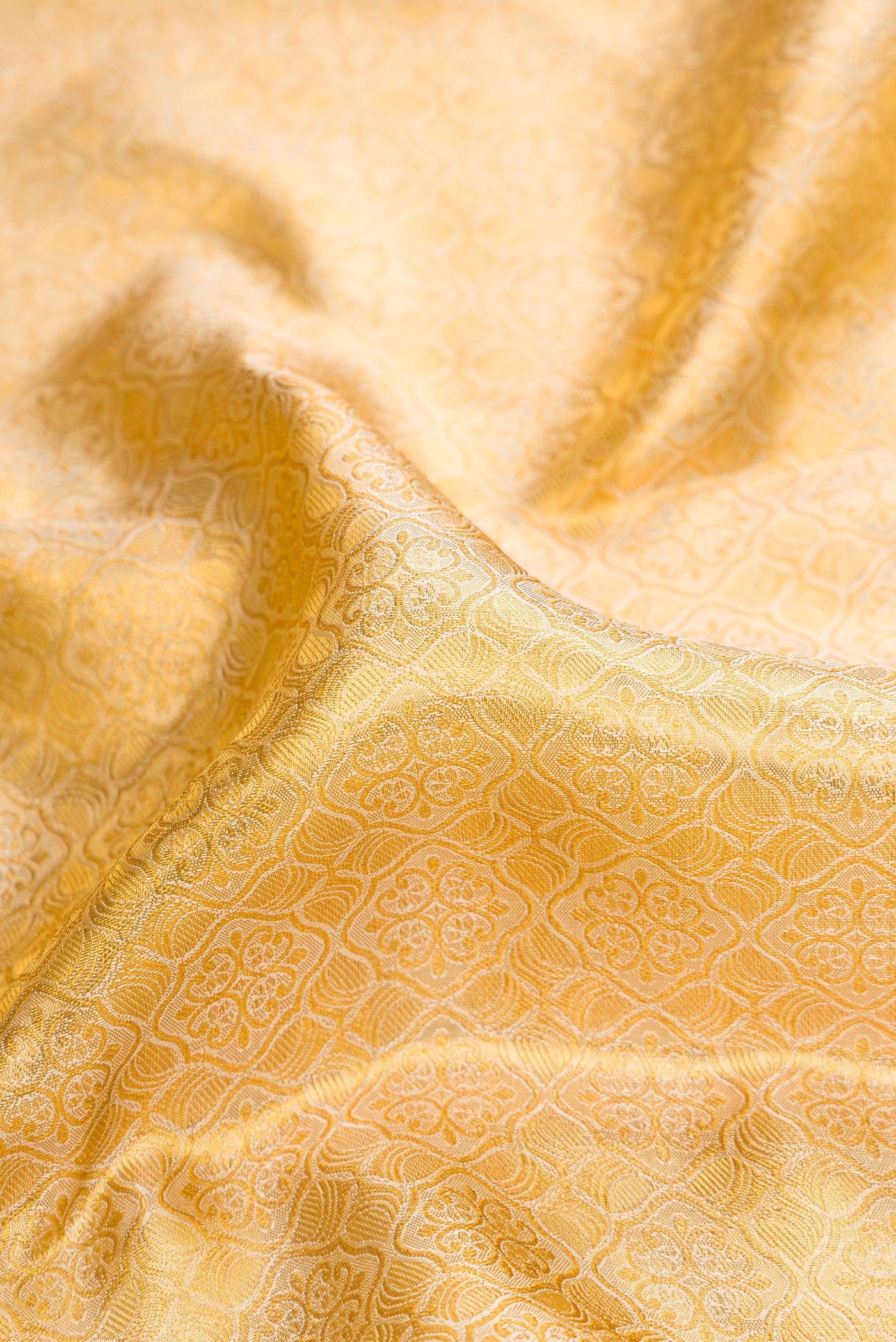 Close up of Gold Dual Tone Kanjivaram Tissue Silk Saree with Zari Brocade on the body and Zari Border.  displaying folds