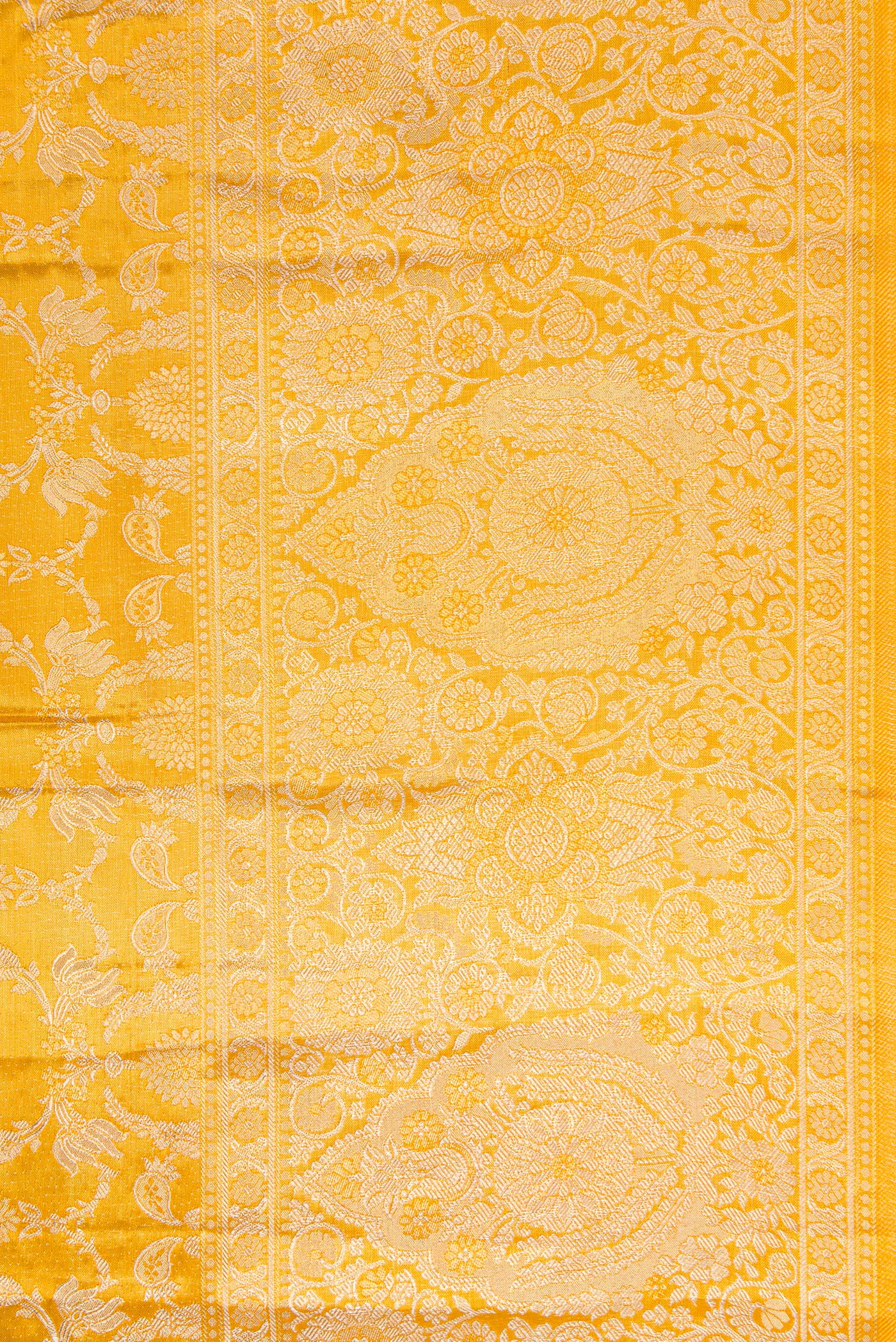 Border image of Gold Dual Tone Kanjivaram Tissue Silk Saree with Zari Brocade on the body and Zari Border. 