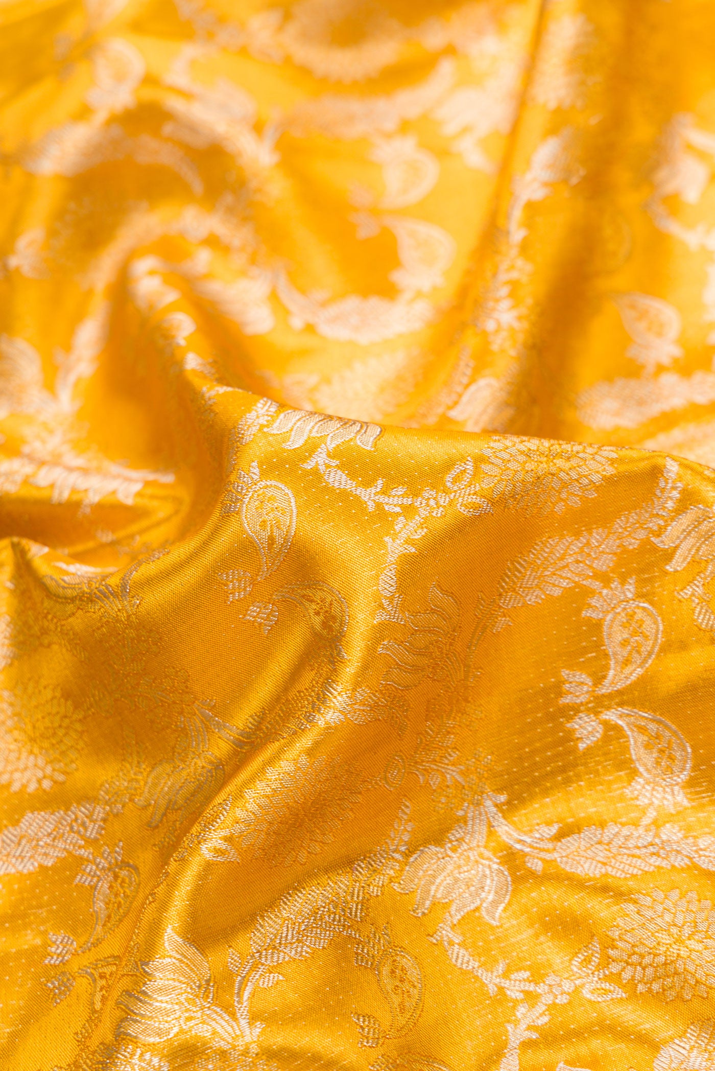 Close up of Gold Dual Tone Kanjivaram Tissue Silk Saree with Zari Brocade on the body and Zari Border.  displaying folds