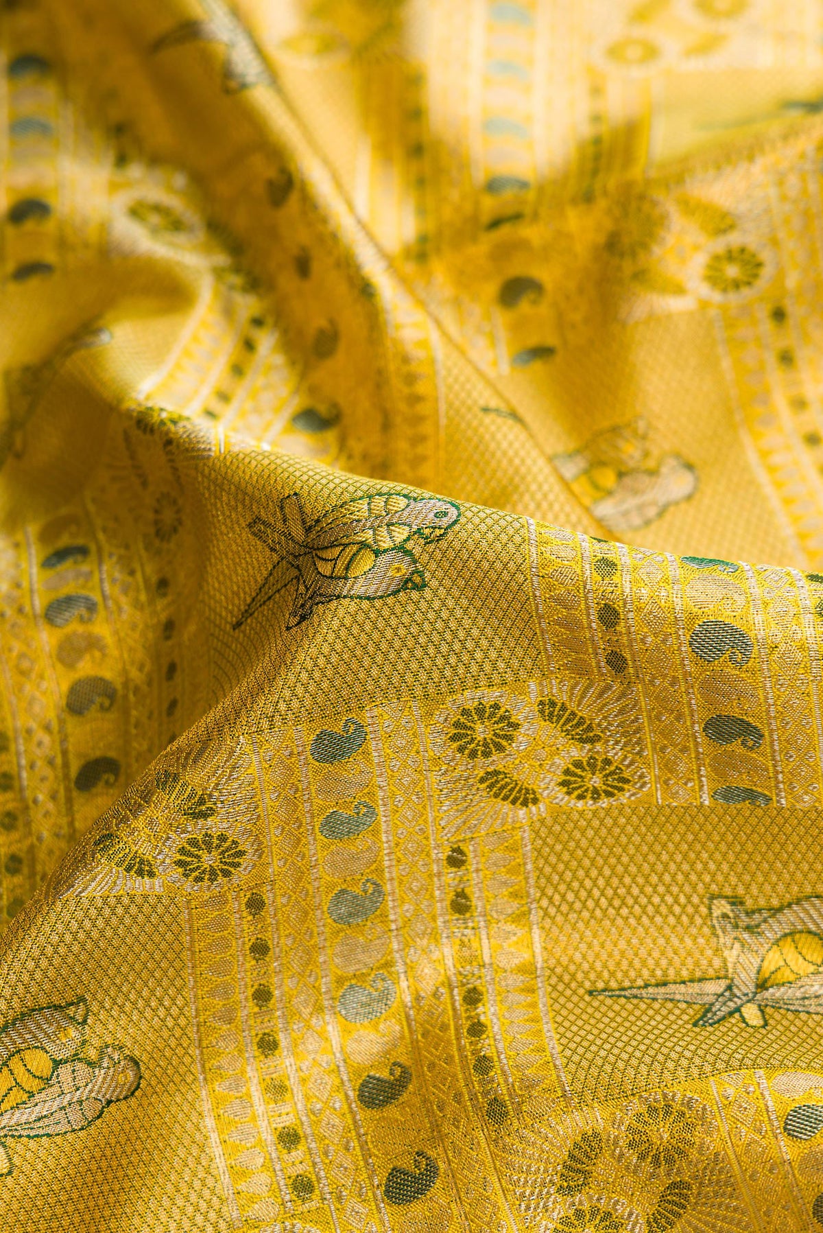 Close up of Gold Dual Tone Kanjivaram Tissue Silk Saree with Zari Brocade on the body and Zari Border.  displaying folds