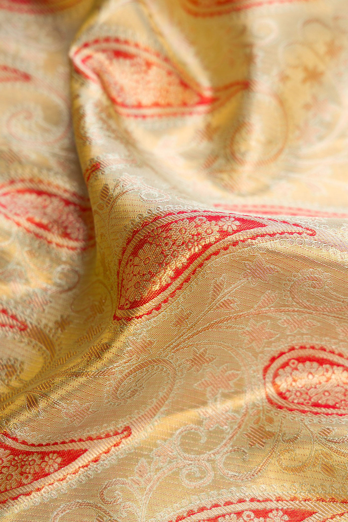 Close up of Pista Green Dual Tone Kanjivaram Tissue Silk Saree with Zari Brocade on the body and Zari Border.  displaying folds