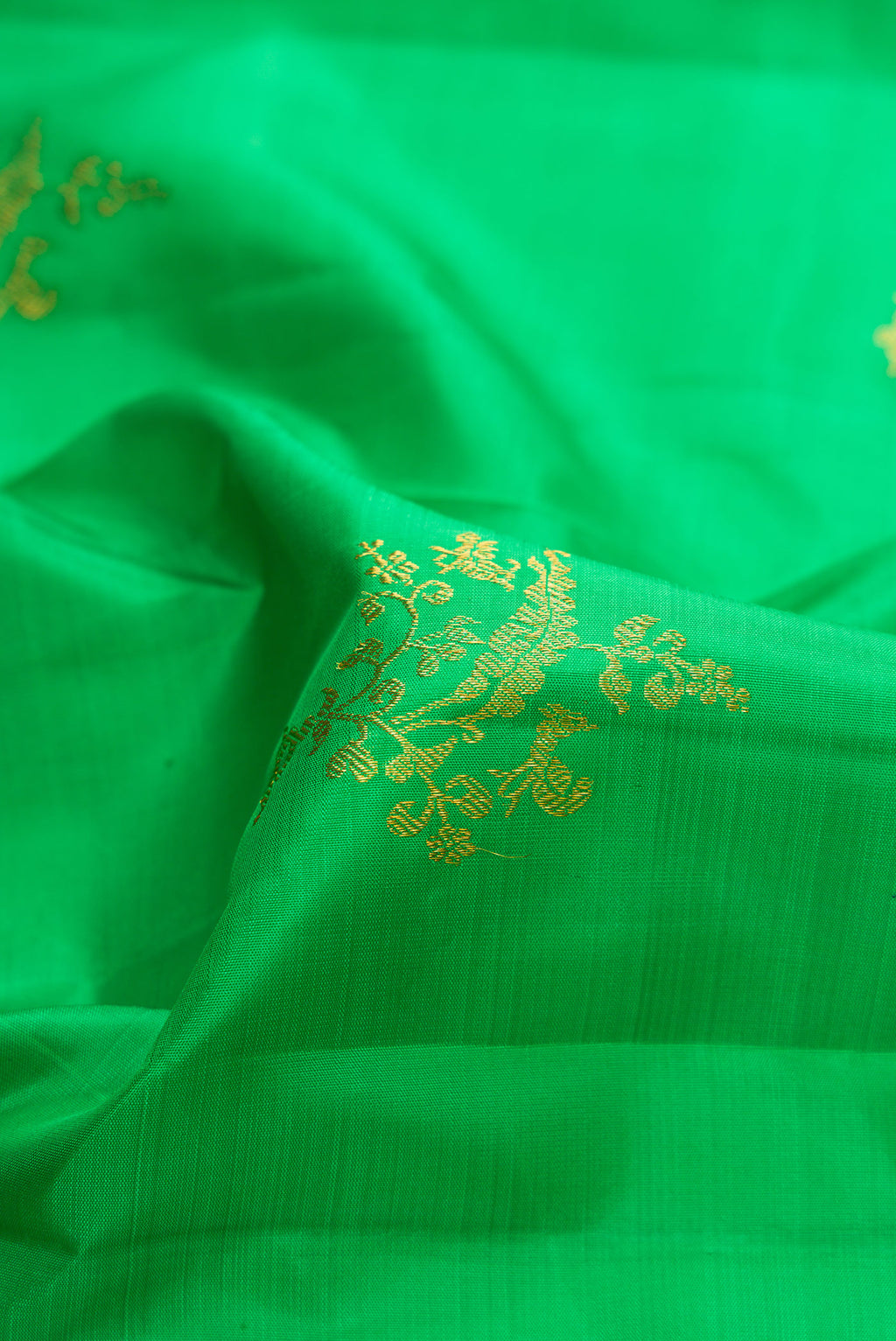 Close up of Green Dual Tone Kanchipuram Silk Saree with Zari Butta on the body and Zari Border.  displaying folds