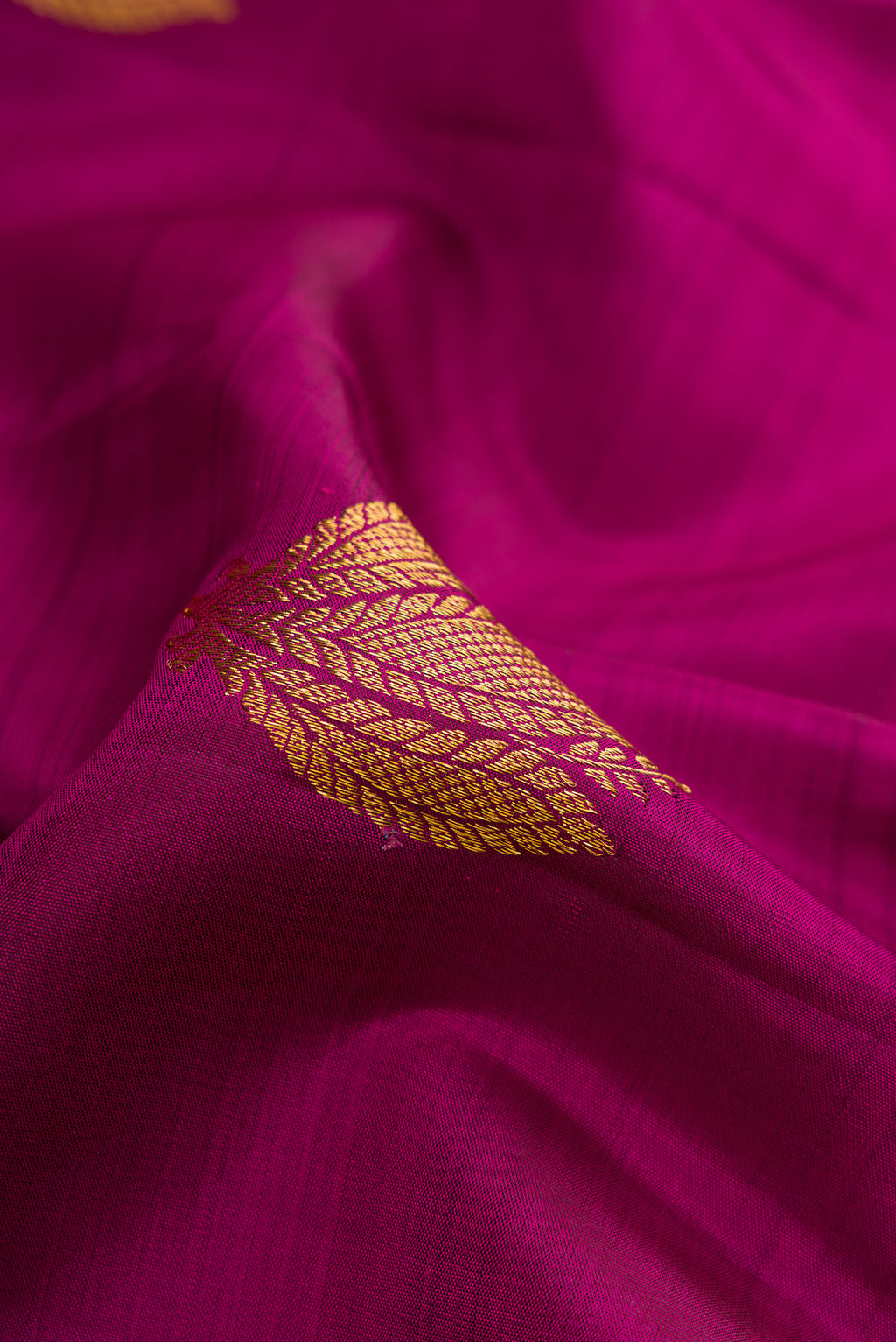 Close up of Magenta Kanchipuram Silk Saree with Zari Butta on the body and Zari Border.  displaying folds