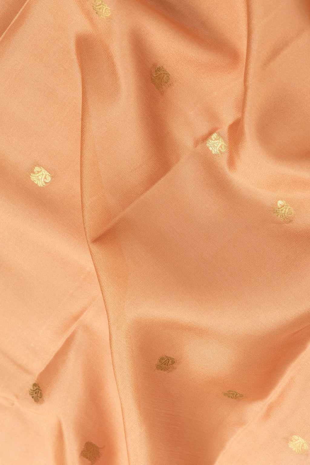 Close up of Beige Dual Tone Mysore Silk Saree with Zari Butta on the body and Zari Border.  displaying folds