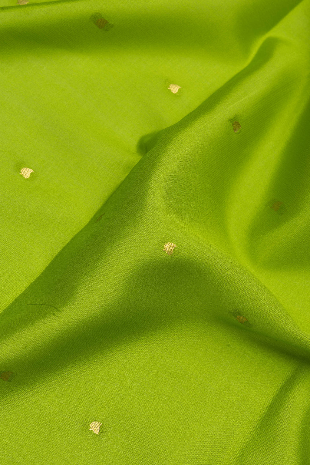 Close up of Parrot Green Mysore Silk Saree with Zari Butta on the body and Zari Border.  displaying folds