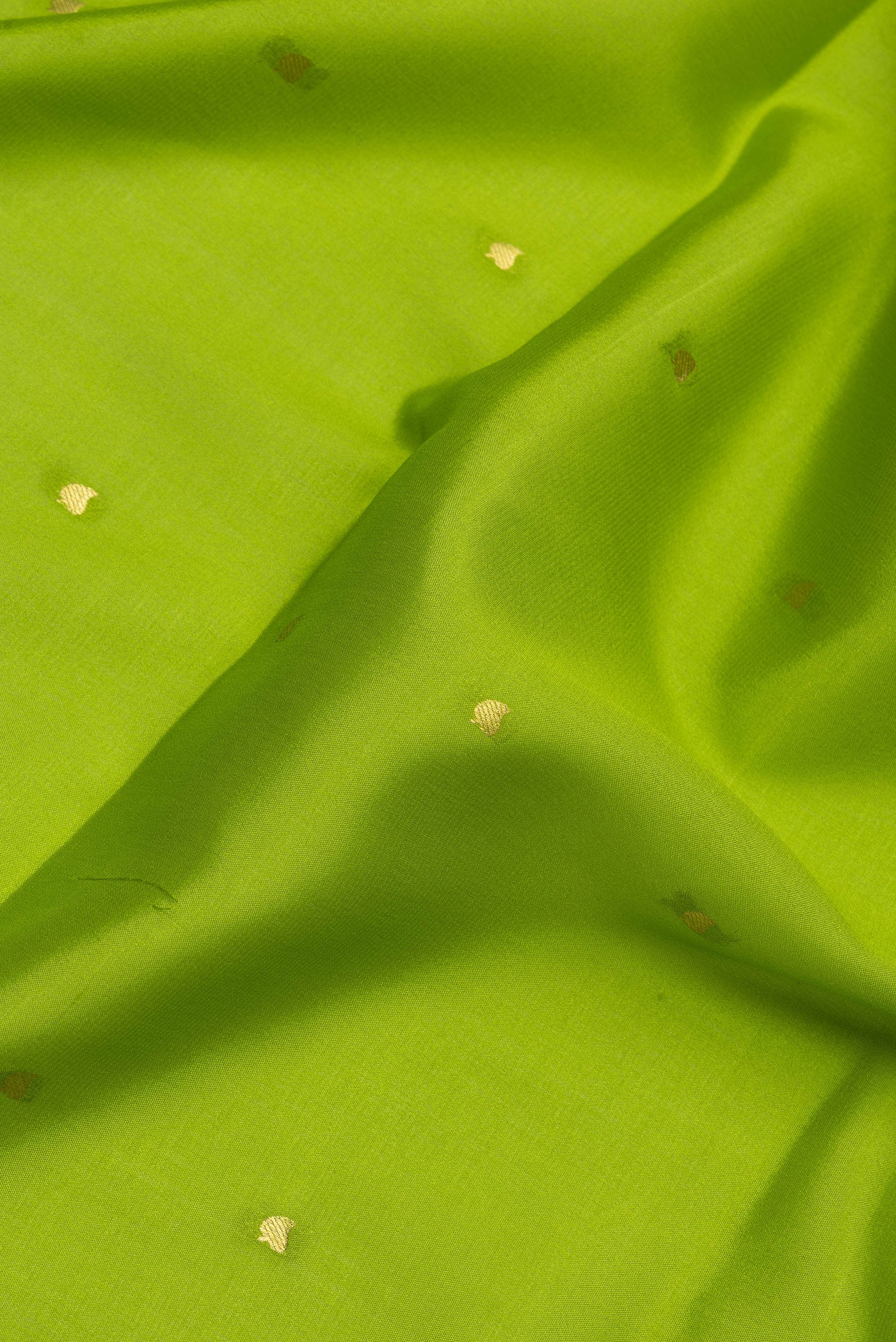 Close up of Parrot Green Mysore Silk Saree with Zari Butta on the body and Zari Border.  displaying folds