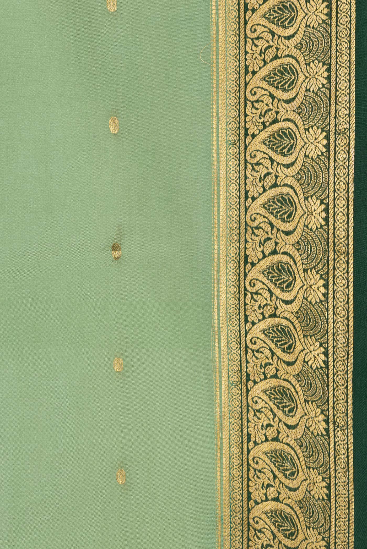Border image of Pista Green Dual Tone Mysore Silk Saree with Zari Butta on the body and Zari Border. 
