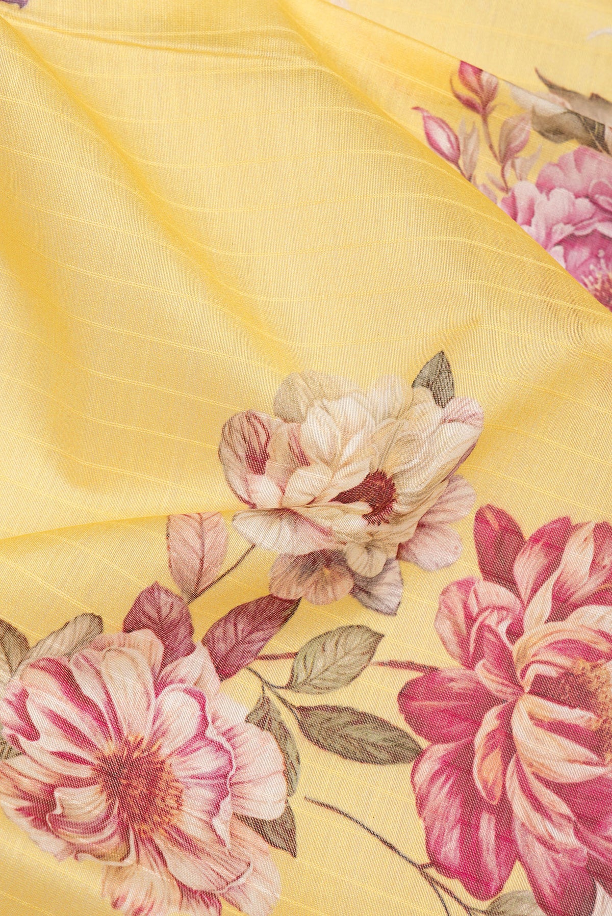 Close up of Pure Silk Lemon Yellow Dual Tone Chanderi Saree with Printed design on the body and Zari And Thread Border.  displaying folds
