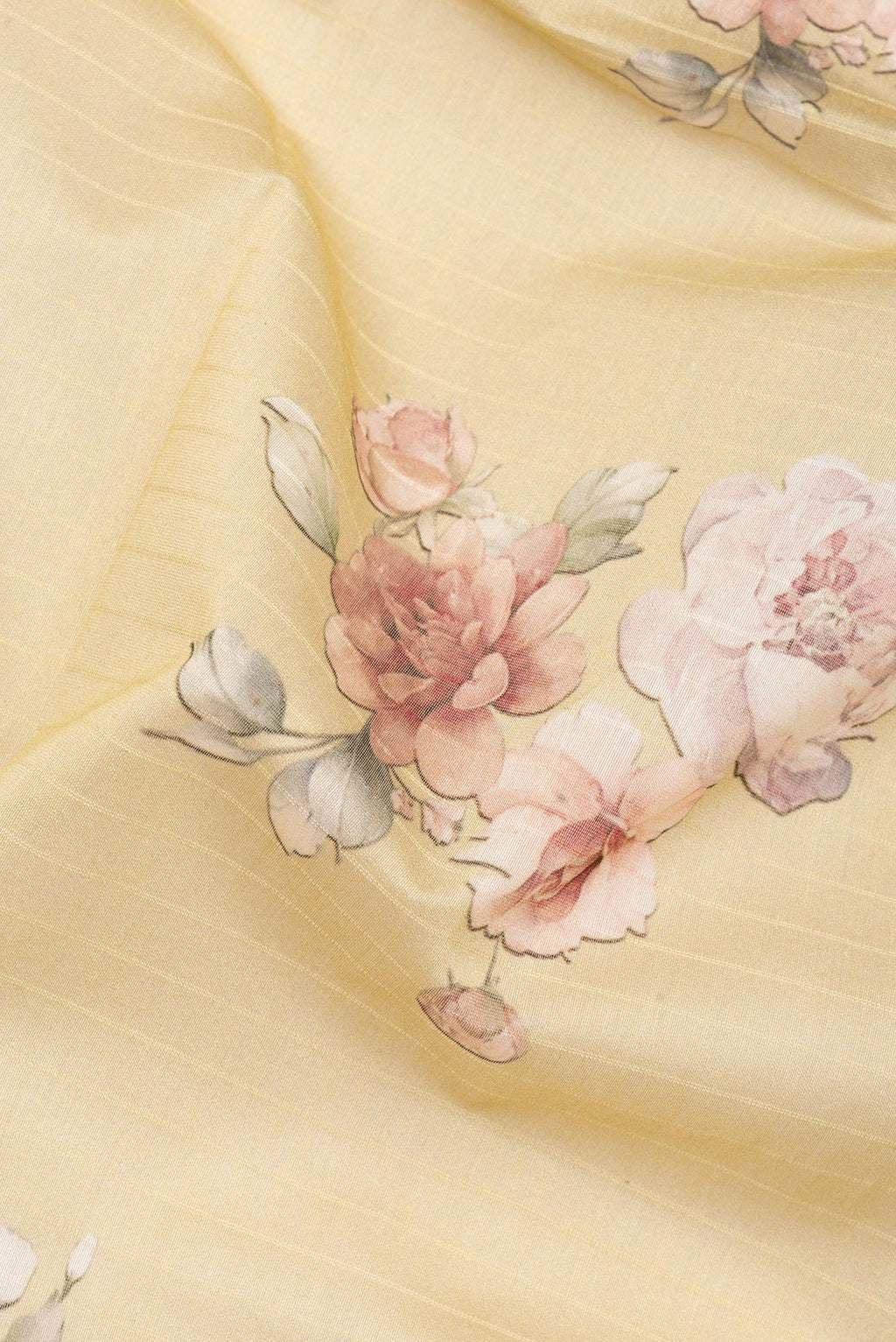 Close up of Pure Silk Beige Dual Tone Chanderi Saree with Printed design on the body and Zari And Thread Border.  displaying folds