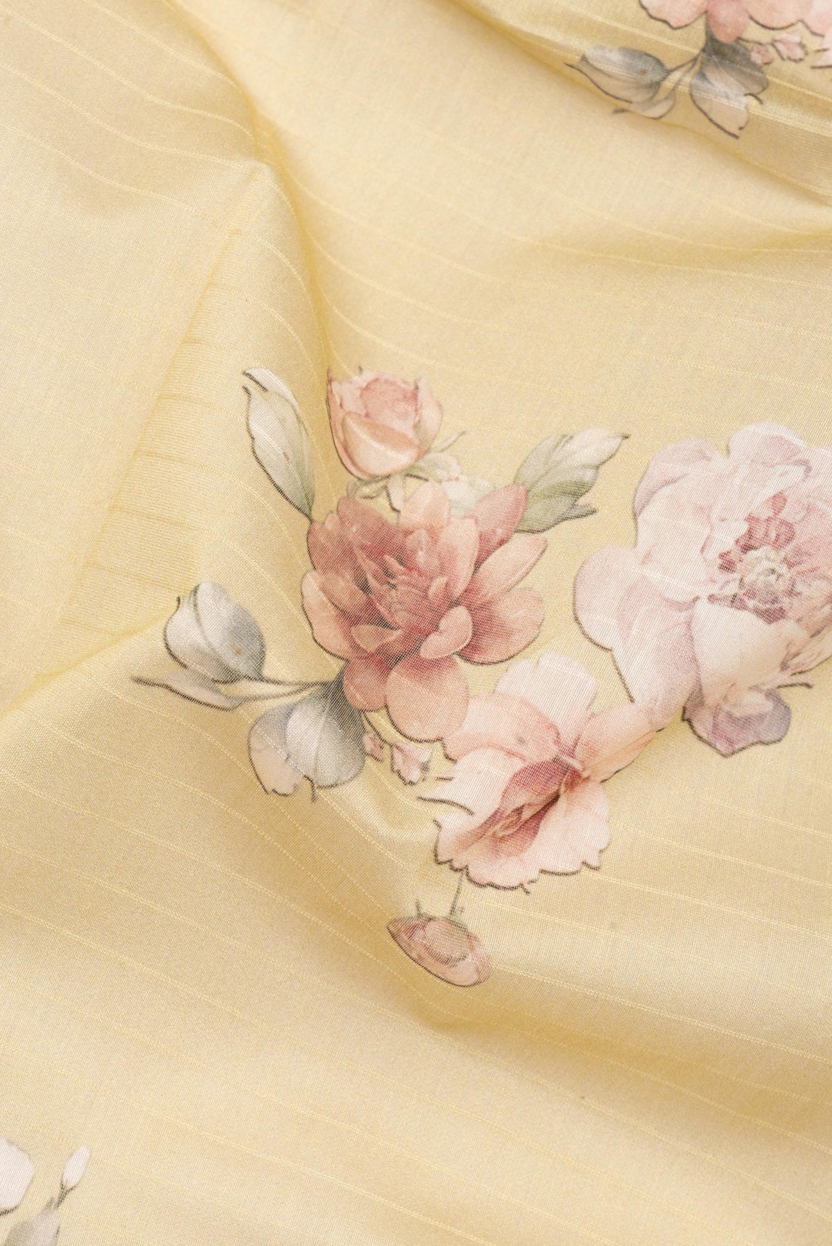 Close up of Pure Silk Beige Dual Tone Chanderi Saree with Printed design on the body and Zari And Thread Border.  displaying folds