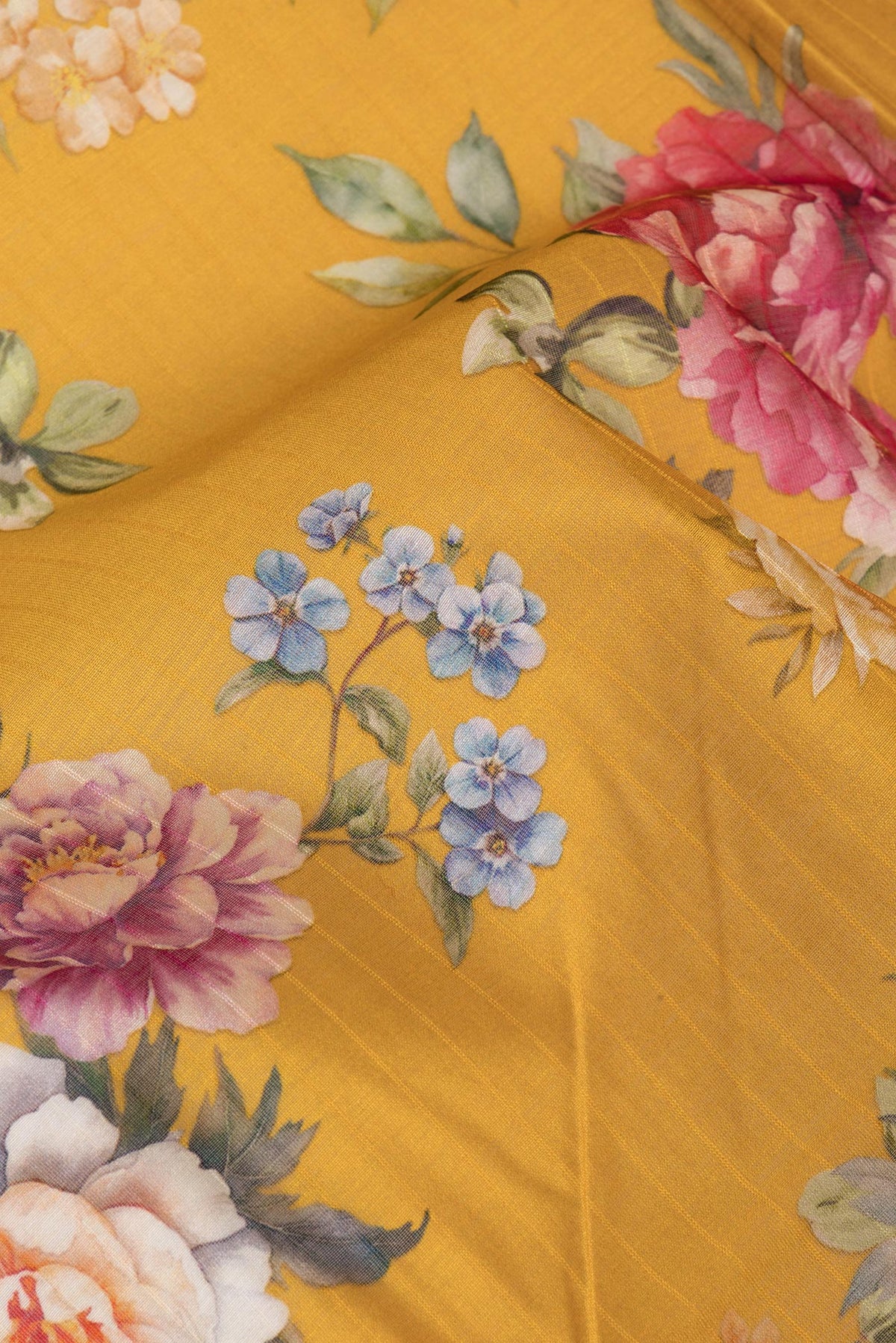 Close up of Pure Silk Mustard Dual Tone Chanderi Saree with Printed design on the body and Zari And Thread Border.  displaying folds