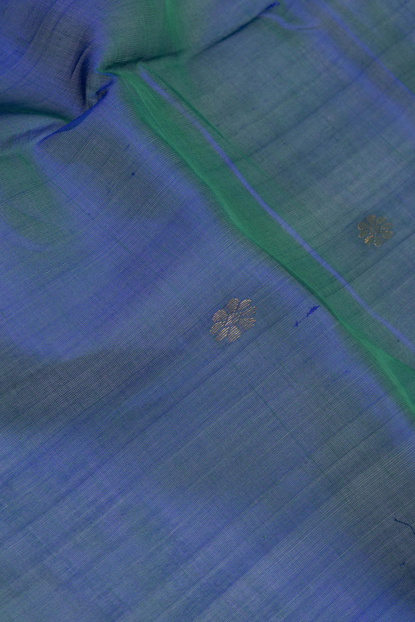 Close up of Peacock Blue Silk Cotton Saree with Zari Butta on the body and Zari Border.  displaying folds