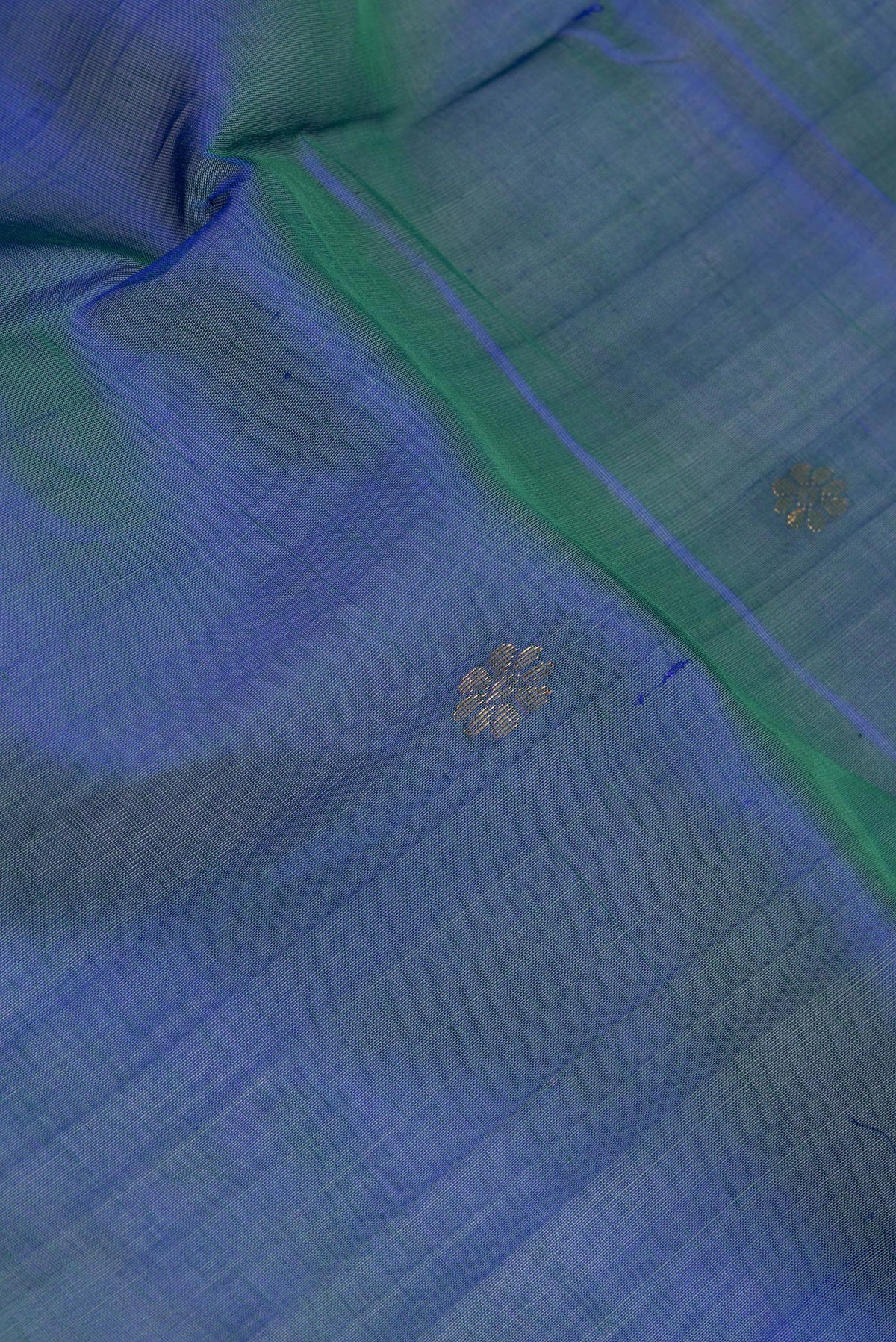 Close up of Peacock Blue Silk Cotton Saree with Zari Butta on the body and Zari Border.  displaying folds