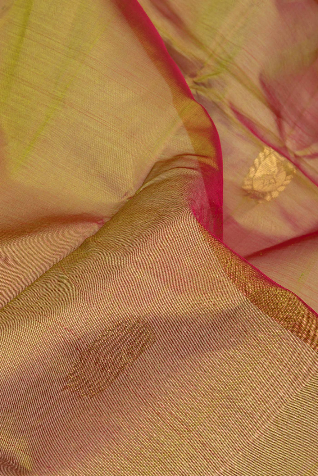 Close up of Mehandi Green Dual Tone Silk Cotton Saree with Zari Butta on the body and Zari Border.  displaying folds