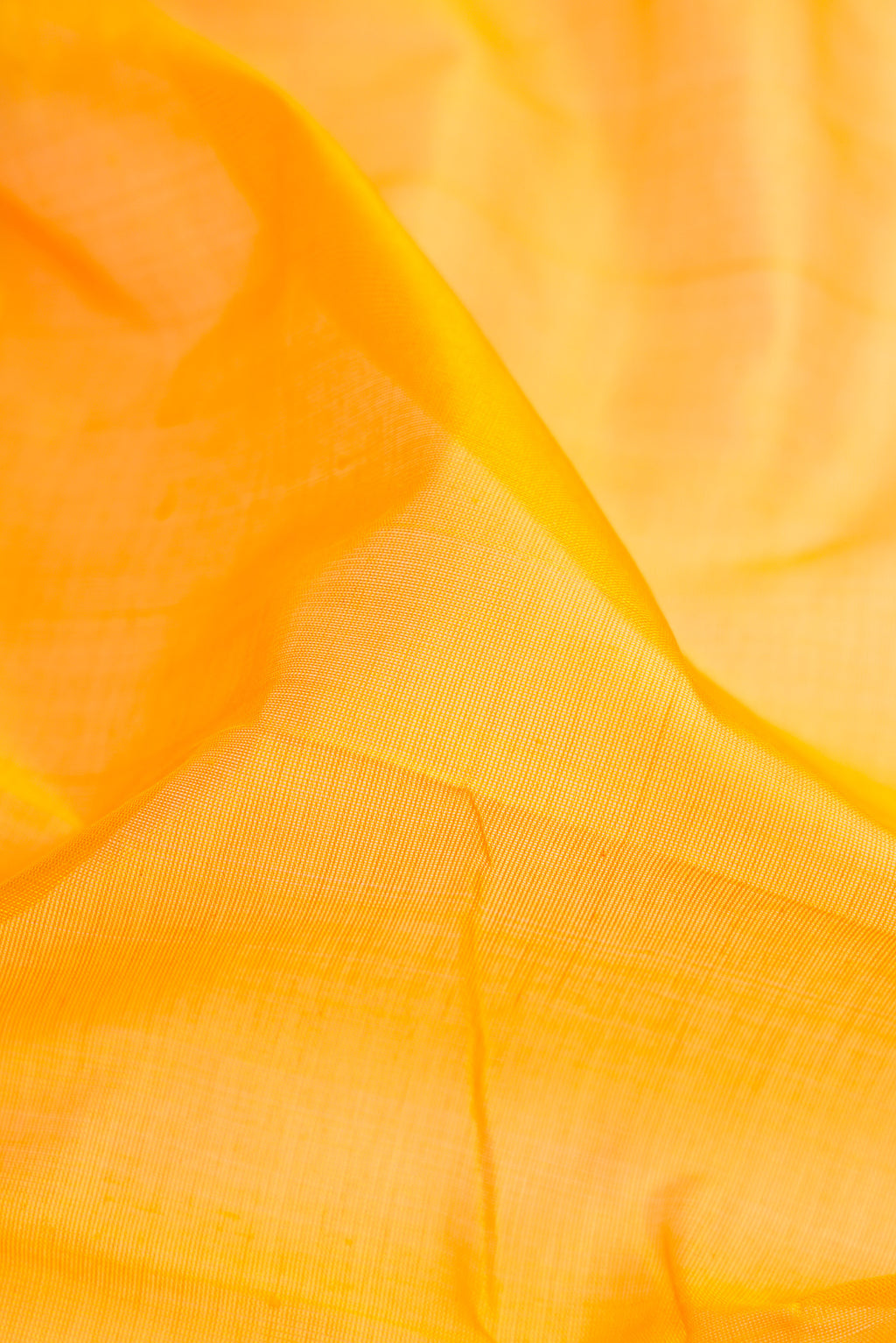 Close up of Yellow Dual Tone Silk Cotton Saree with Plain Body and Zari Border.  displaying folds